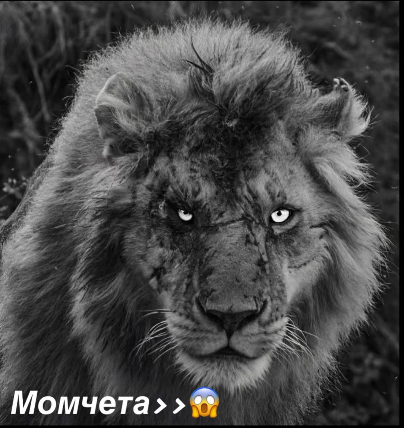 @Ivaylo Dimitrov ❤️&zwj;🔥