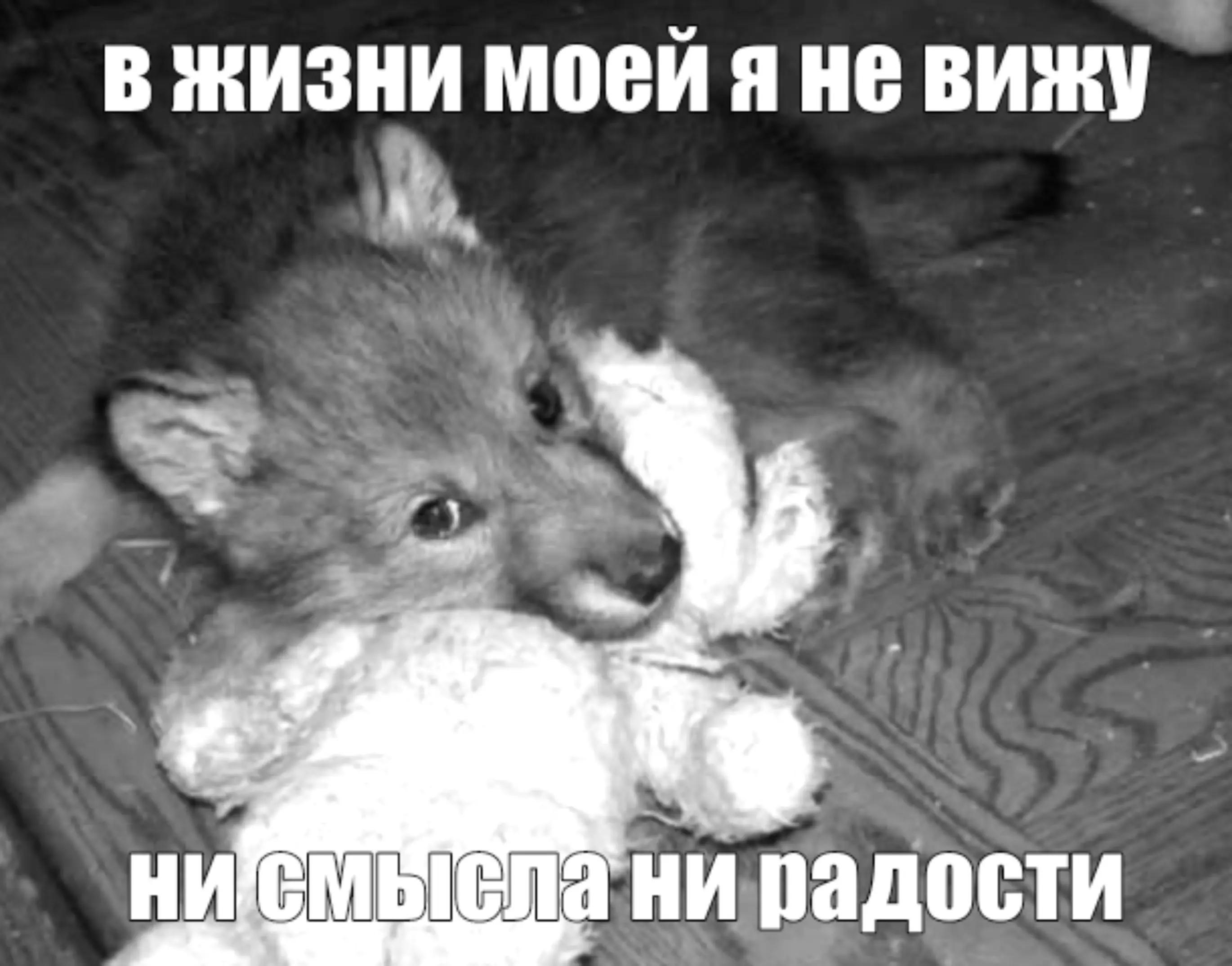 @Рикуся