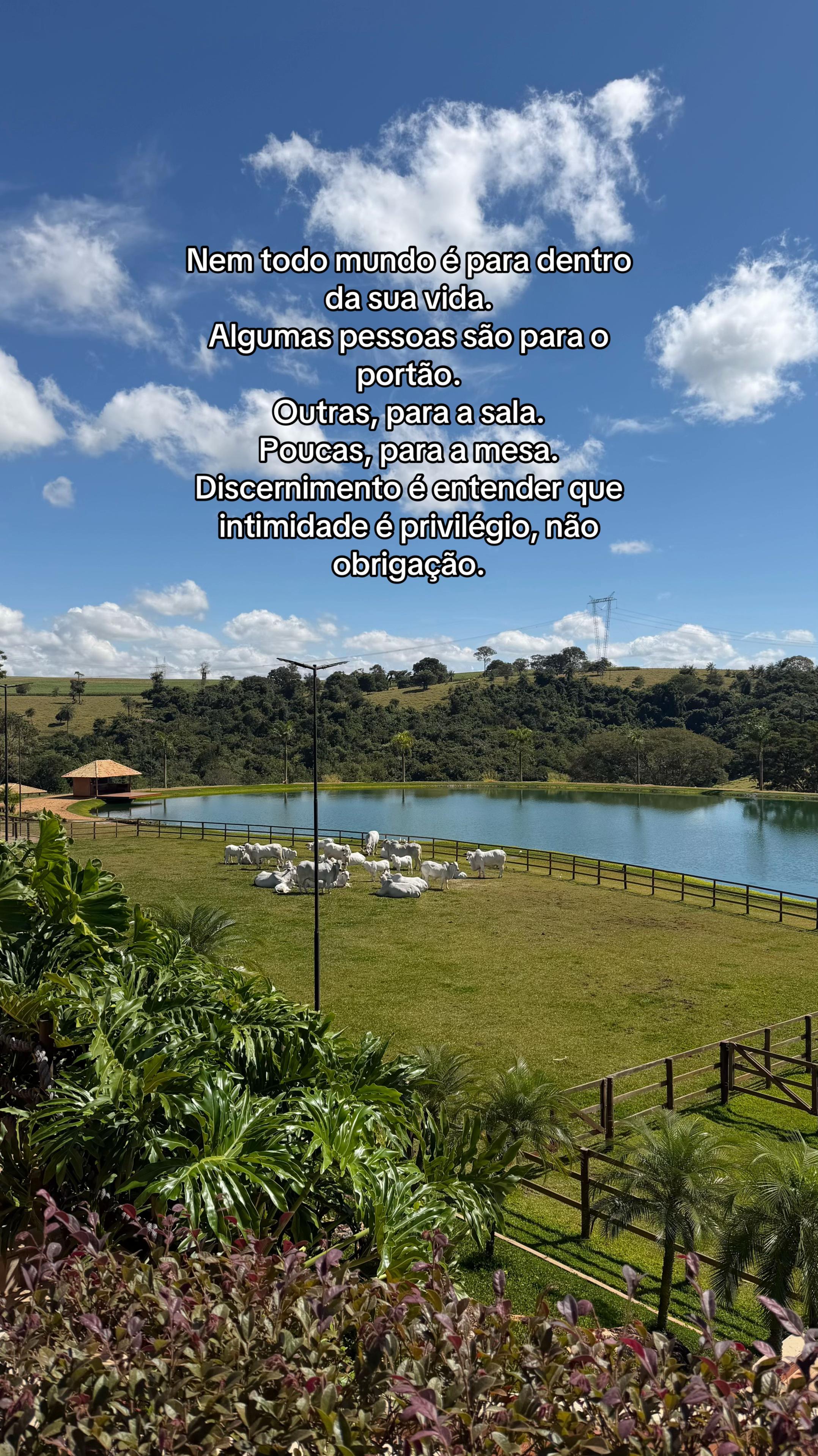 @Mariana Anjos