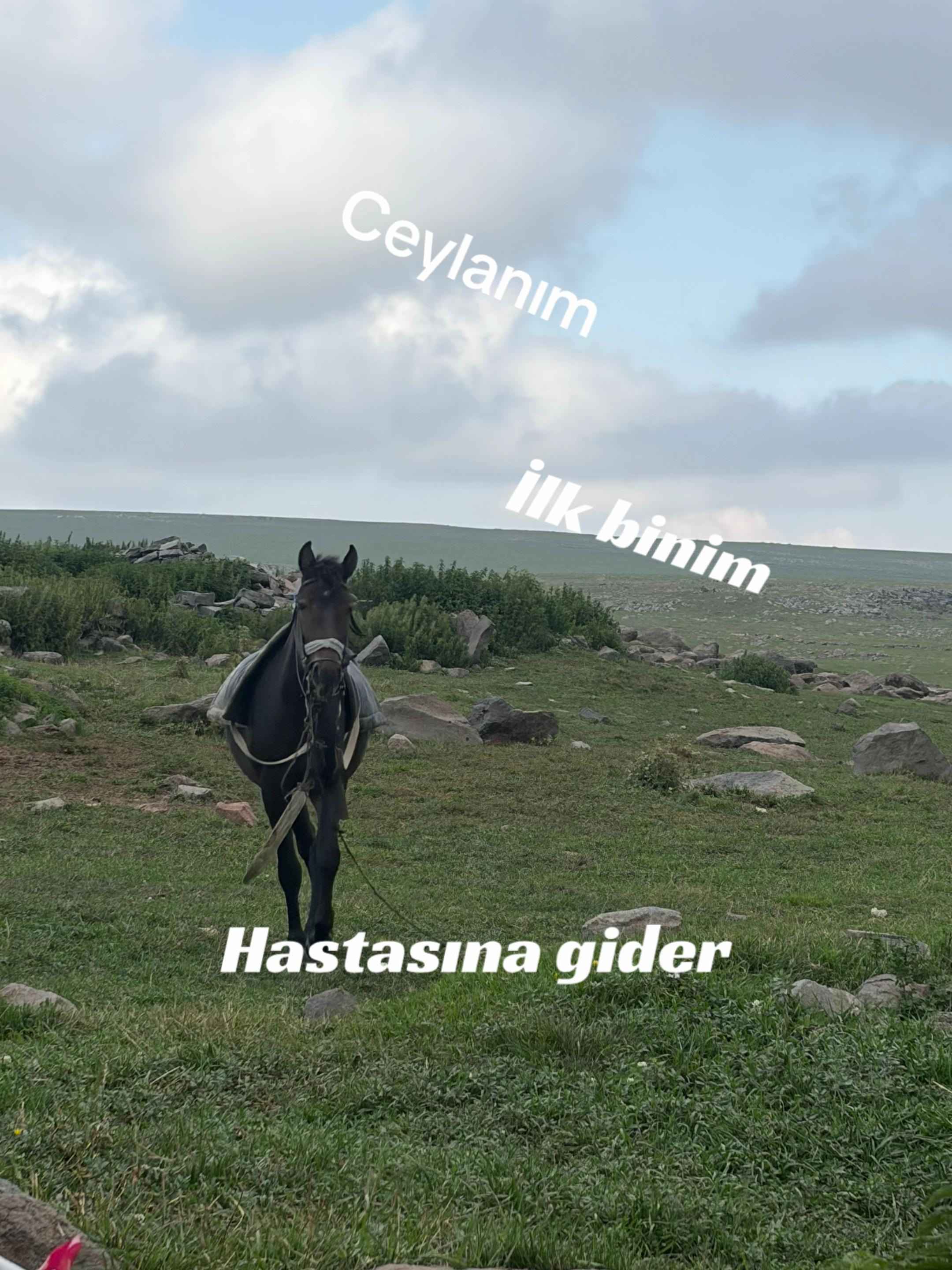 @koçköylü. bir genç