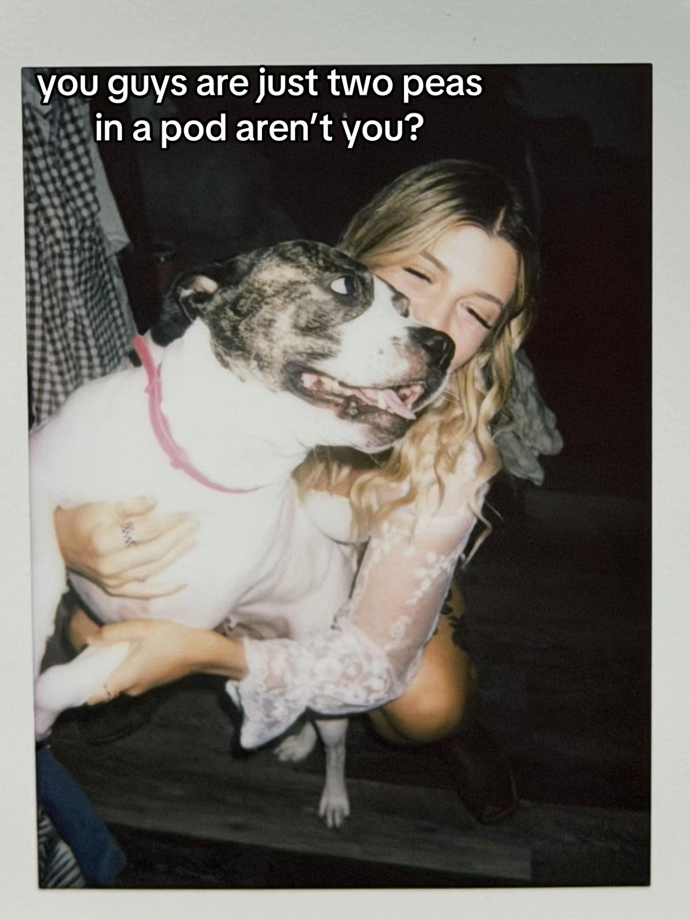 @nic