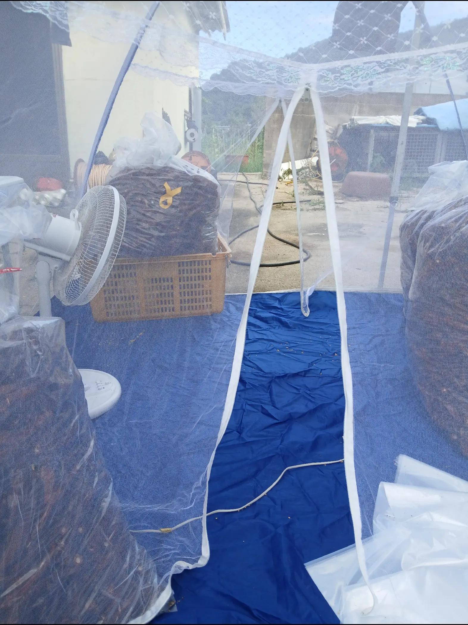 @매동산인