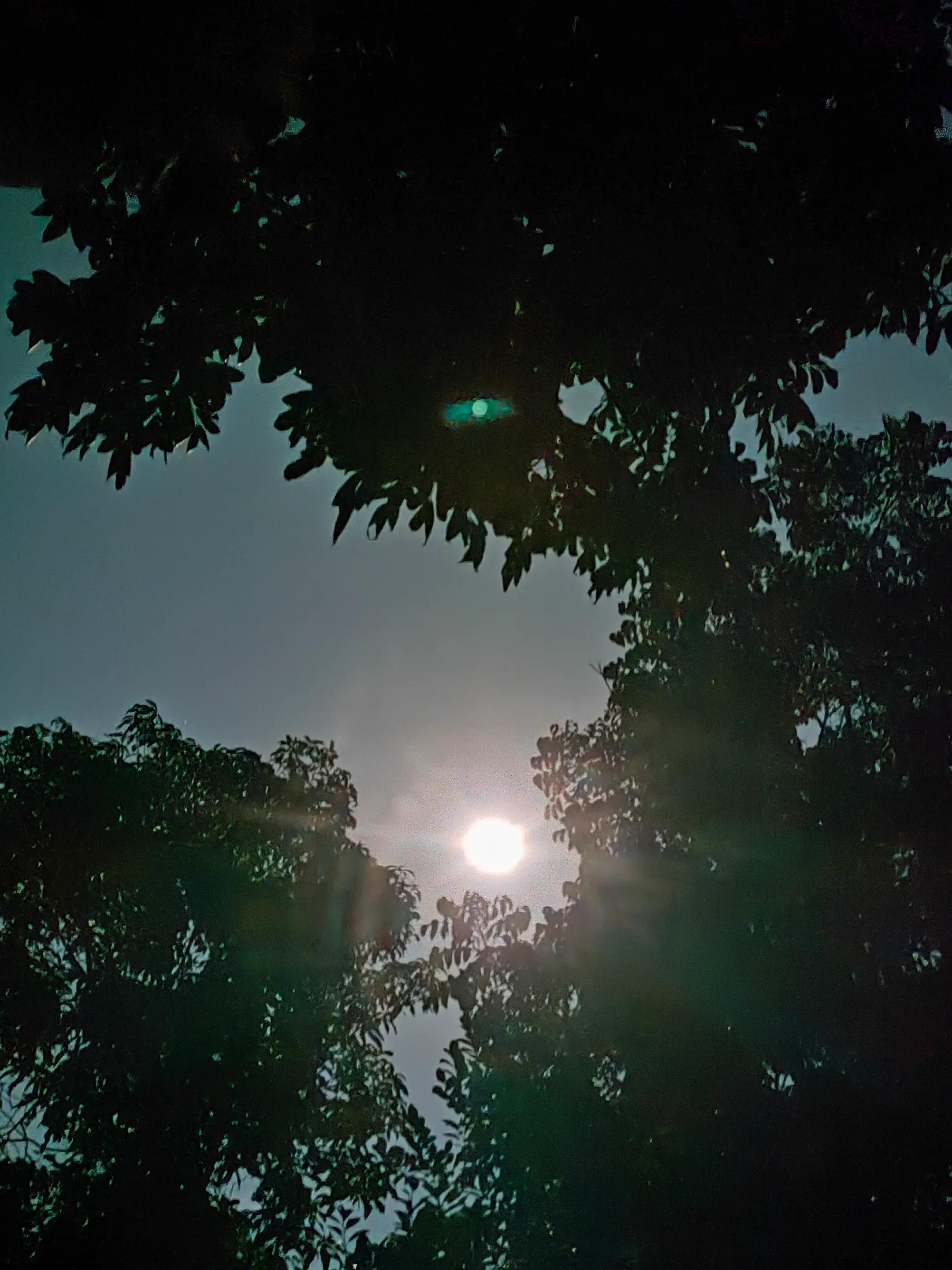 @MEHEDI HASAN 💫