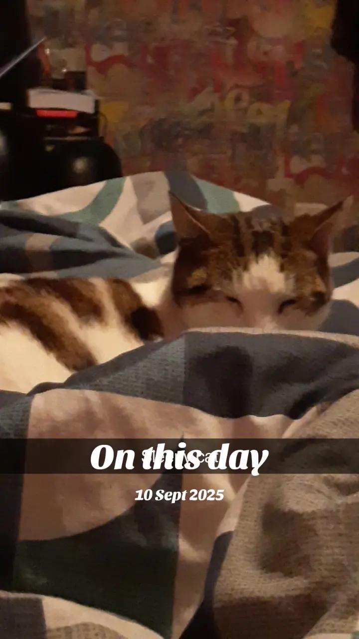 @youfoundthorn171
