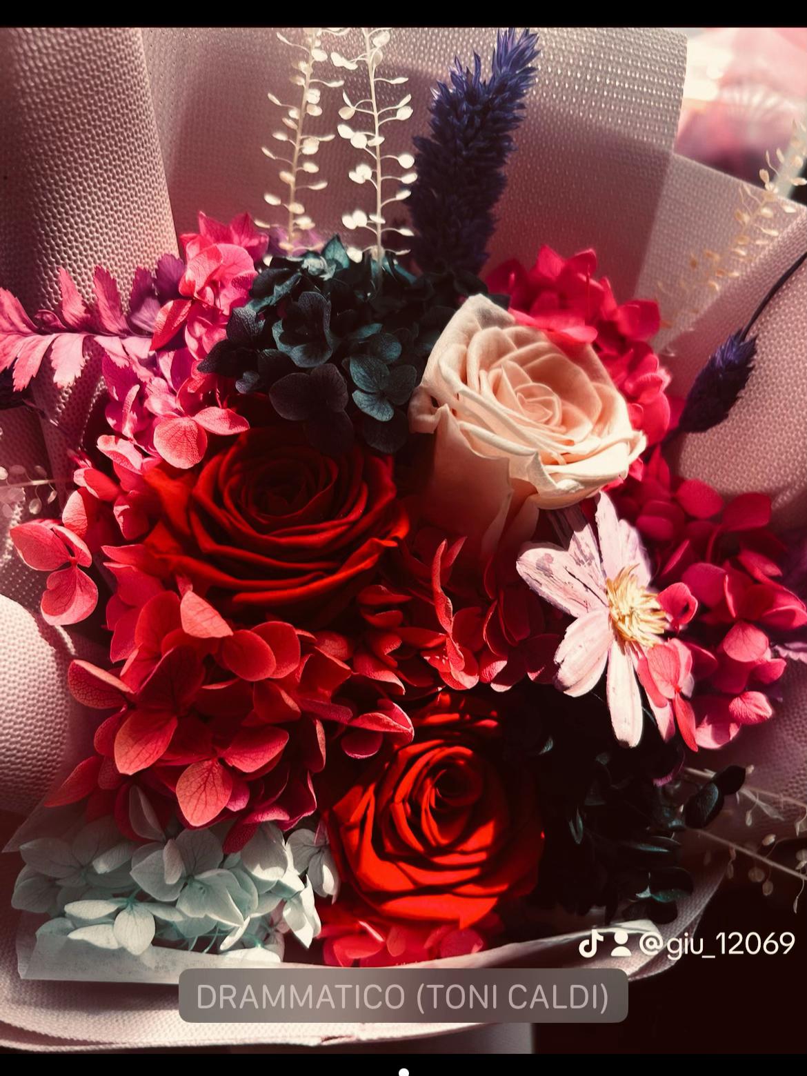 @✨