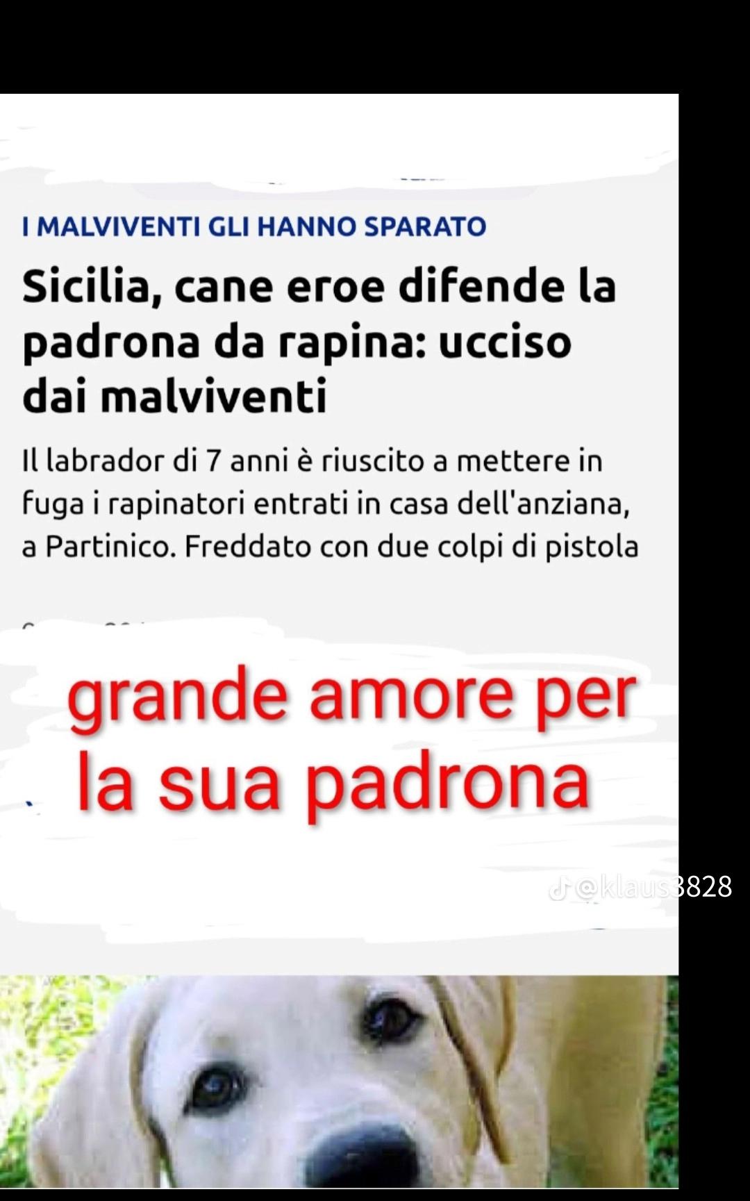 @cristina