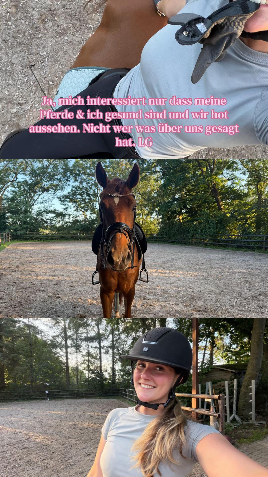 @Enja und die Pferde