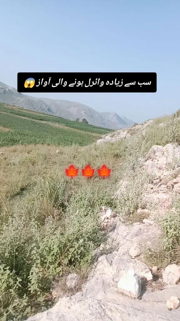 @✨Zahir_khan✨