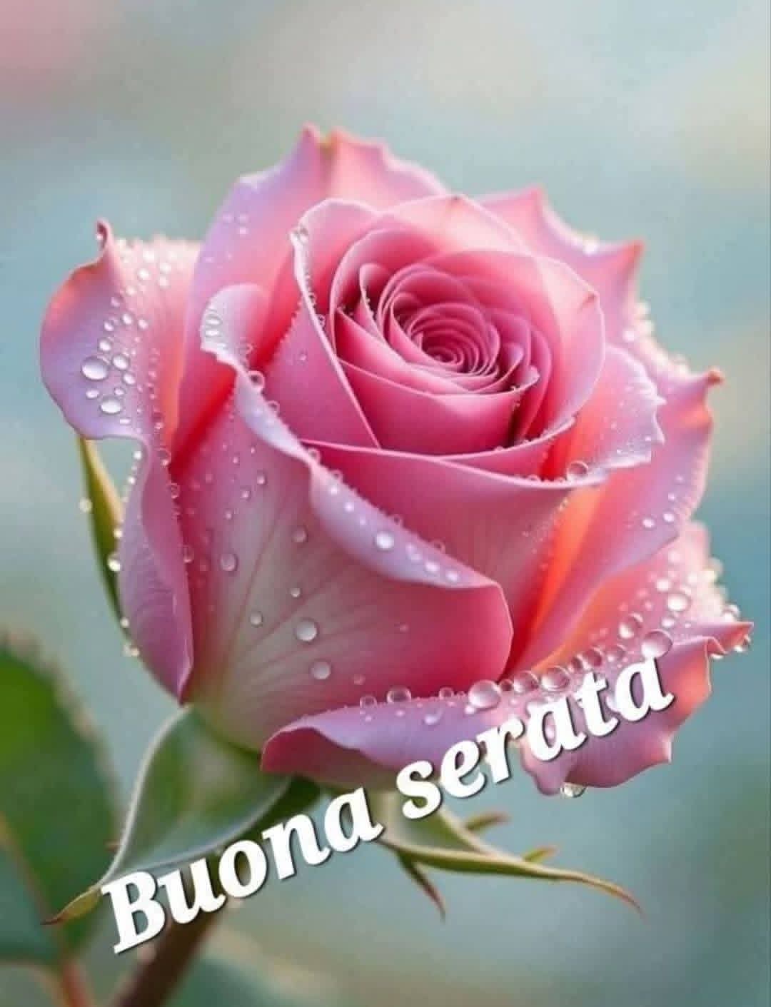@Francesca Mancuso