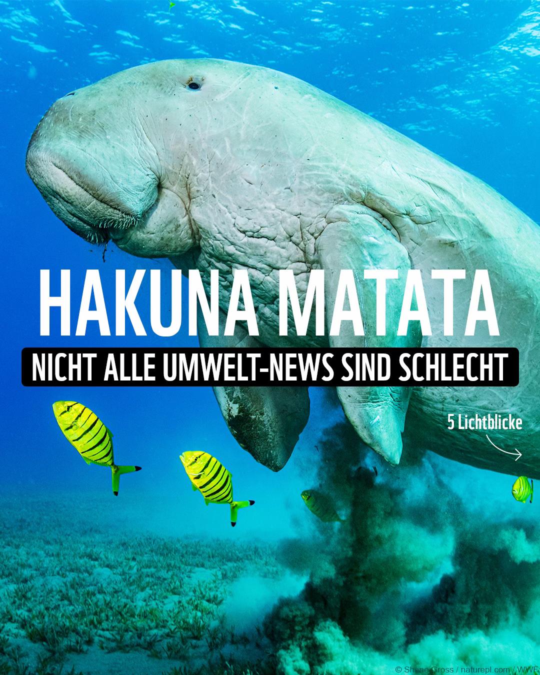 @WWF Schweiz