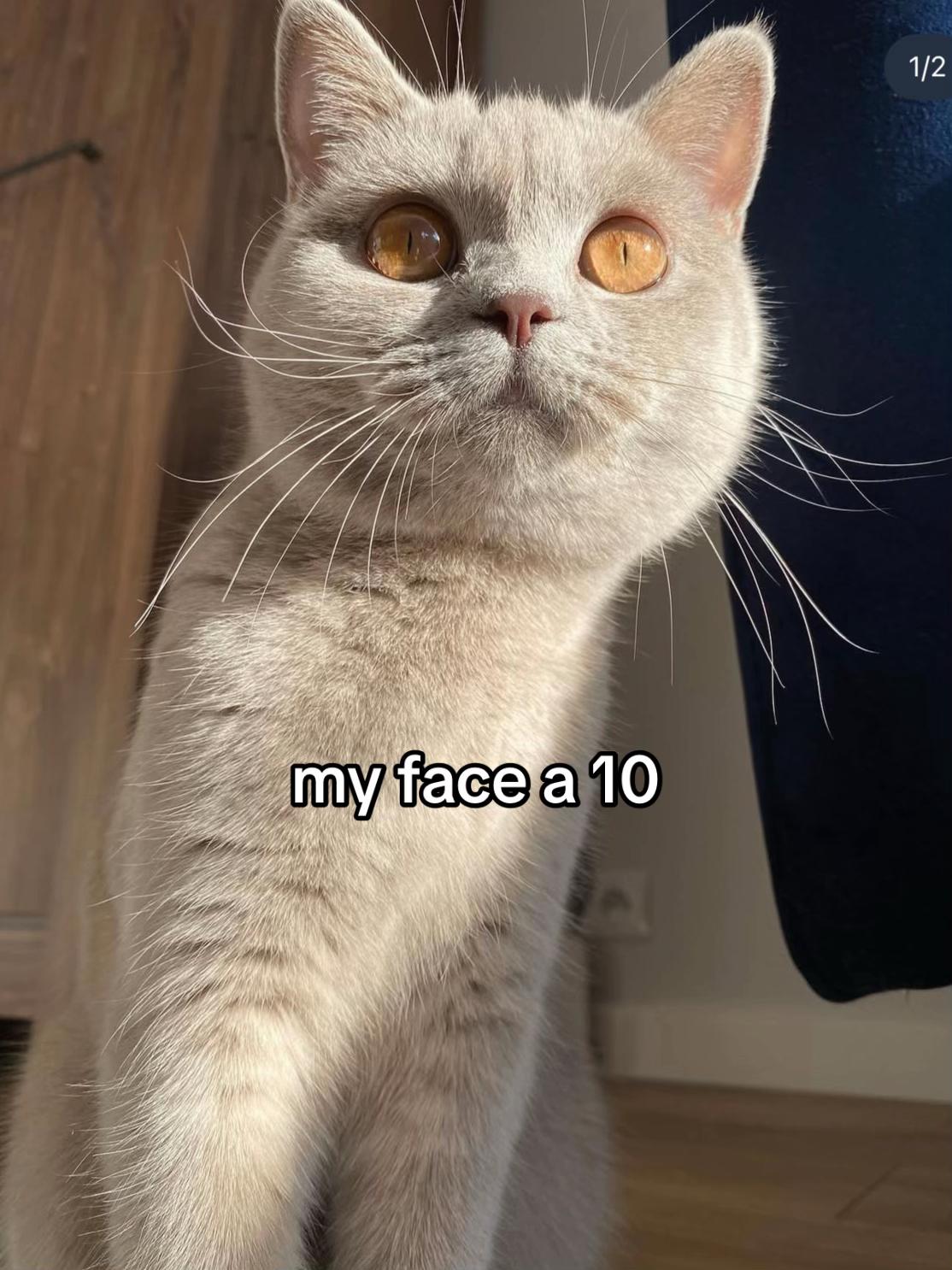 @niki🙈