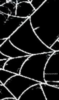 @🦇👻⦻𝐿𝑖𝑙𝑦 𝑙𝑢𝑛𝑑𝑦⦻👻🦇
