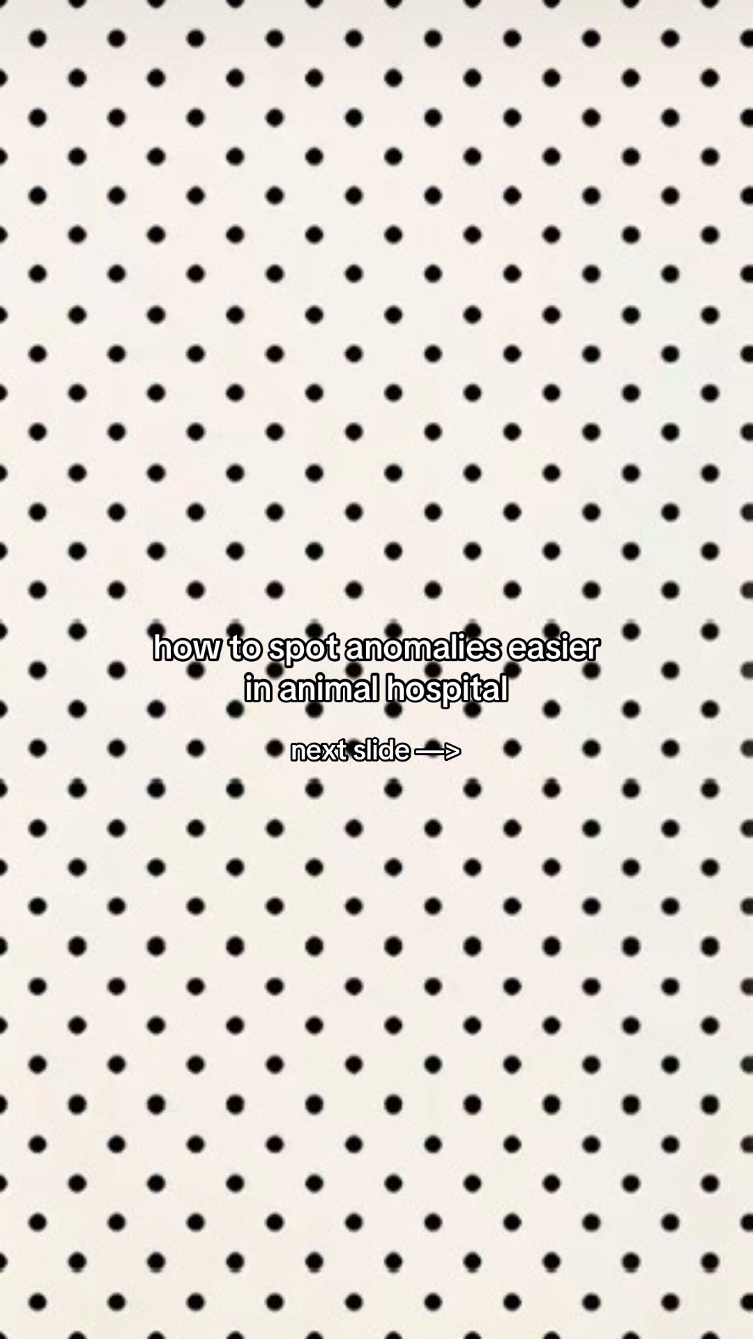 @. 𐙚˚࿔ maisy 𝜗𝜚˚⋆