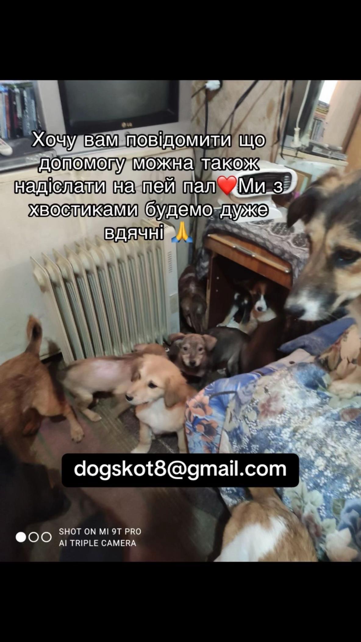 @kvitochki222