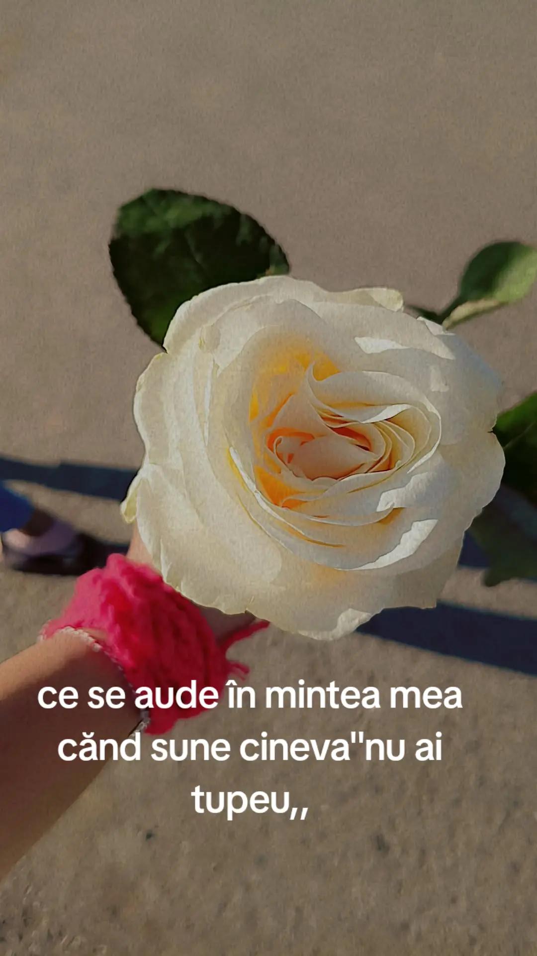 @🌺Daria🌺