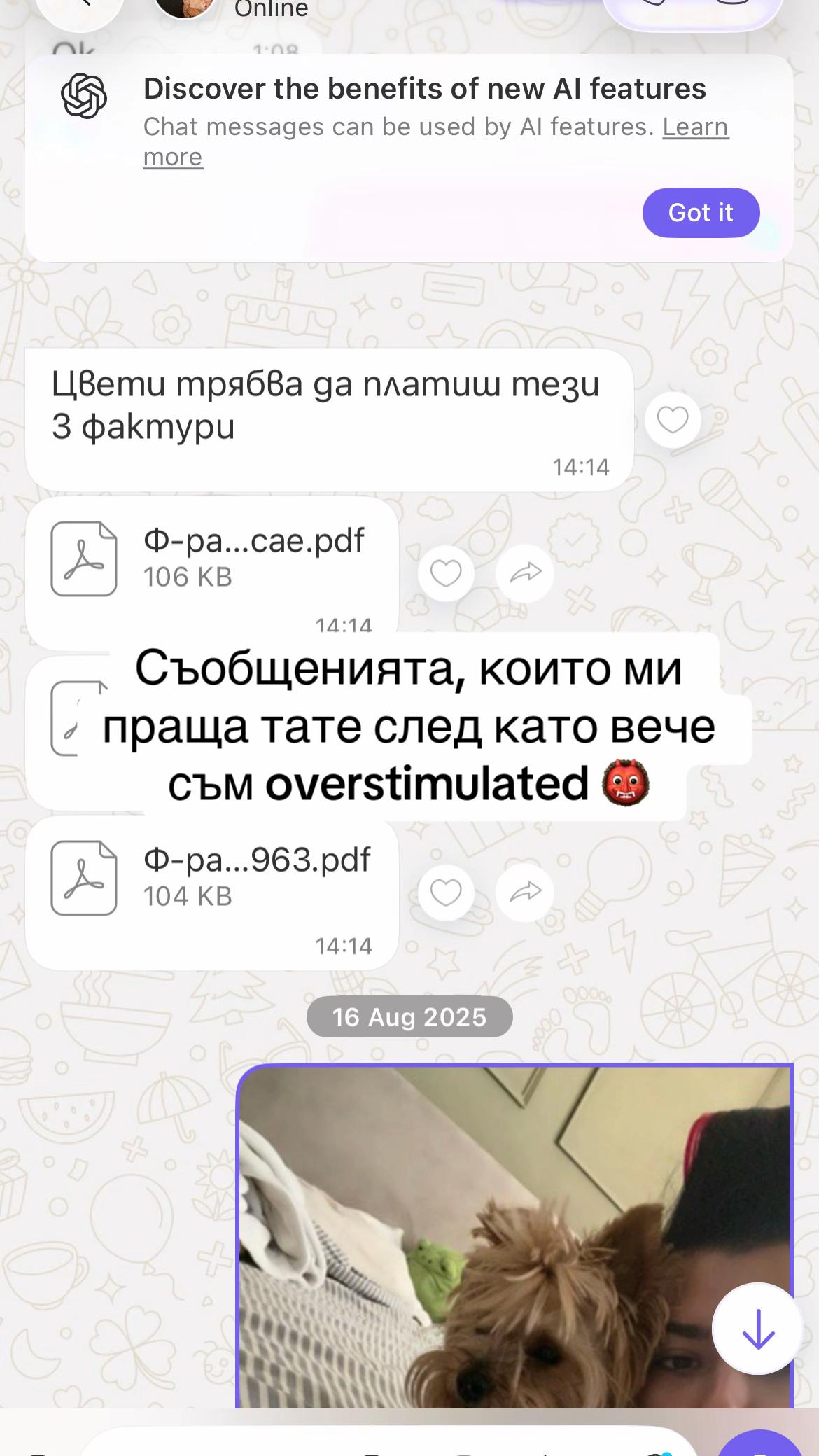 @cvetelinakostadinov