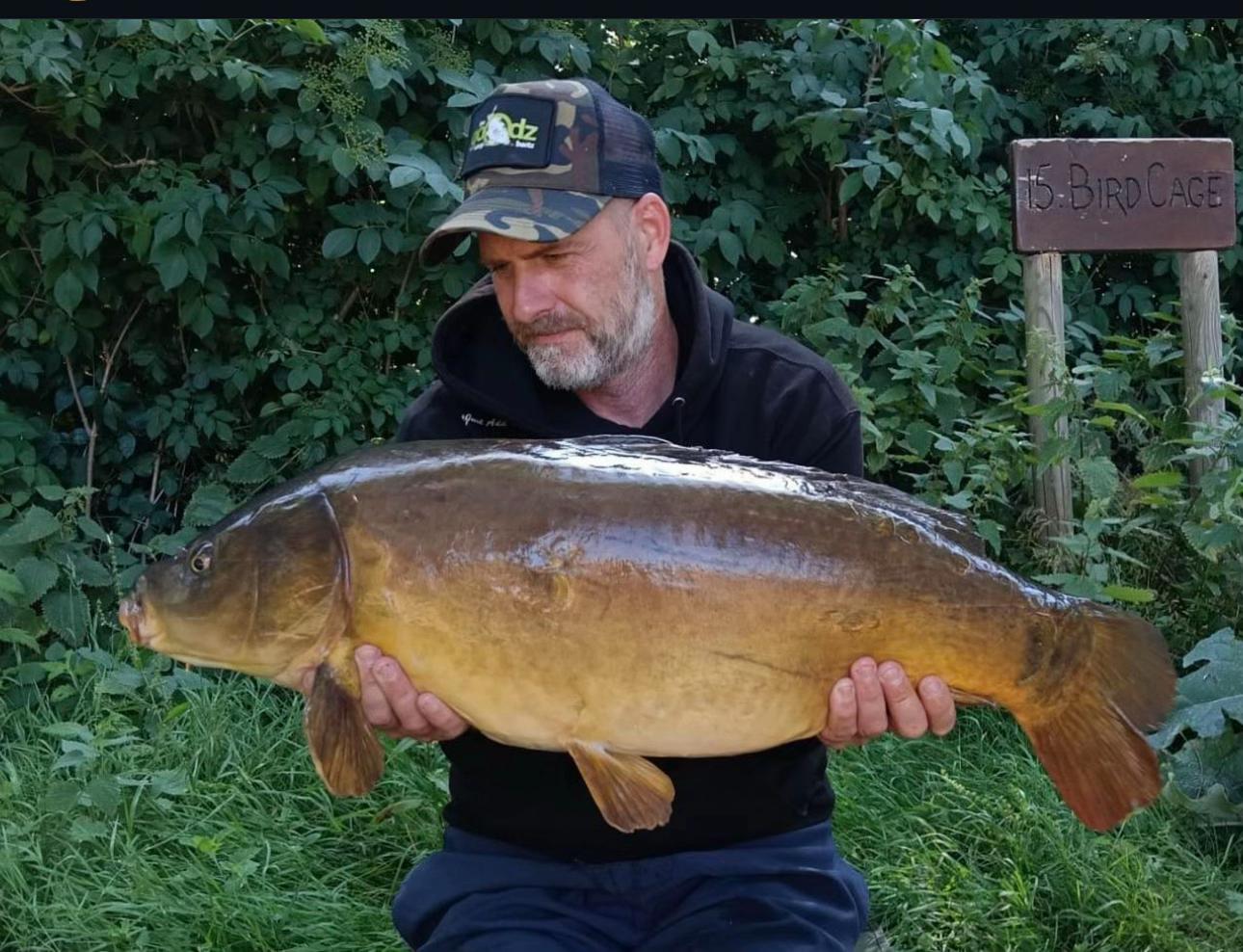 @Goodz Carp Baitz