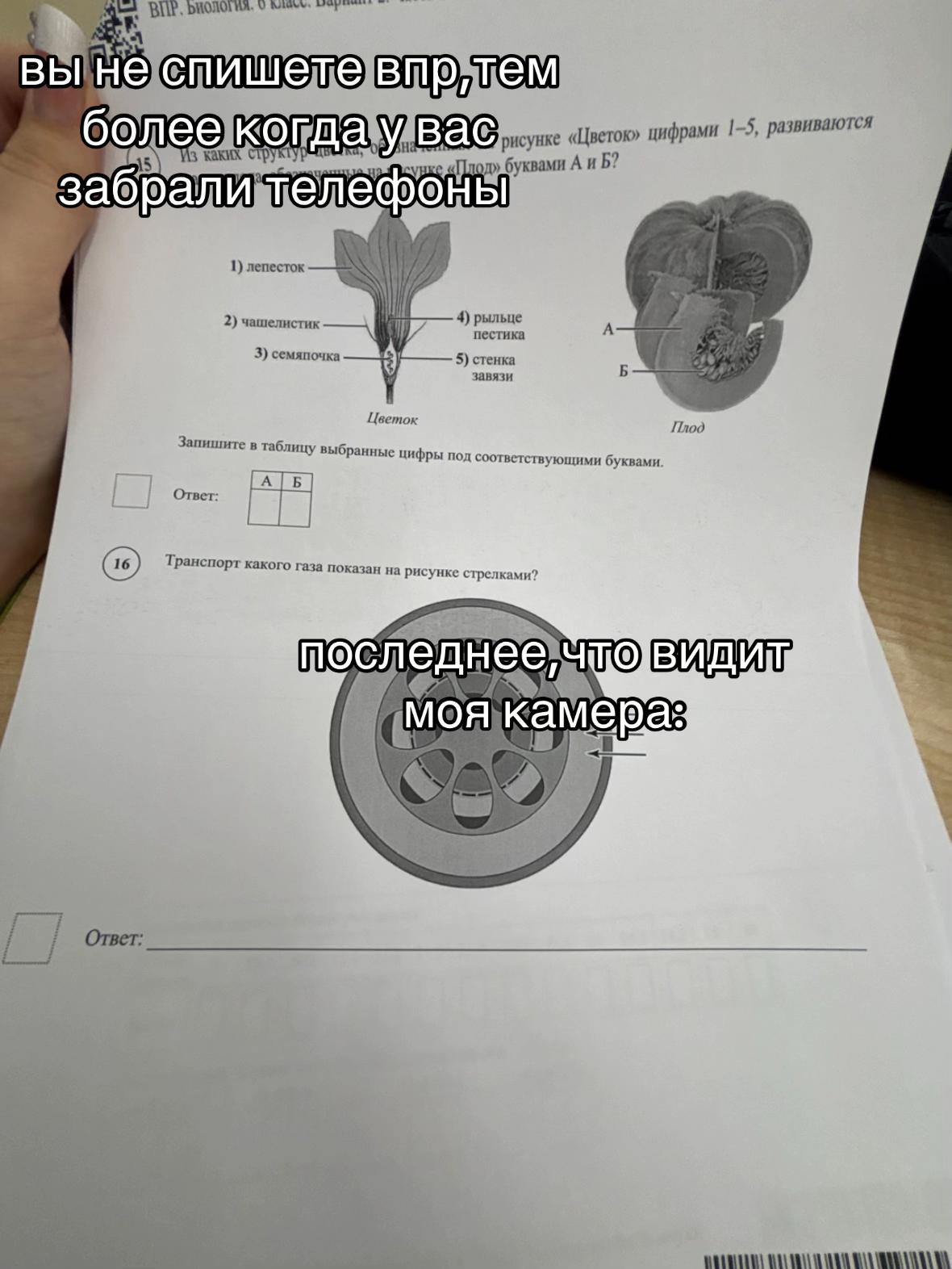 @натали🪽