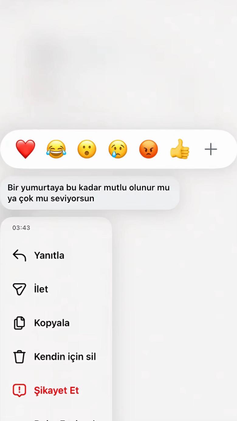 @lsinem06_