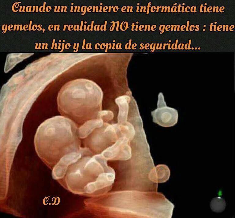 @✨evita✨🎄🪅🎅🍄🍄