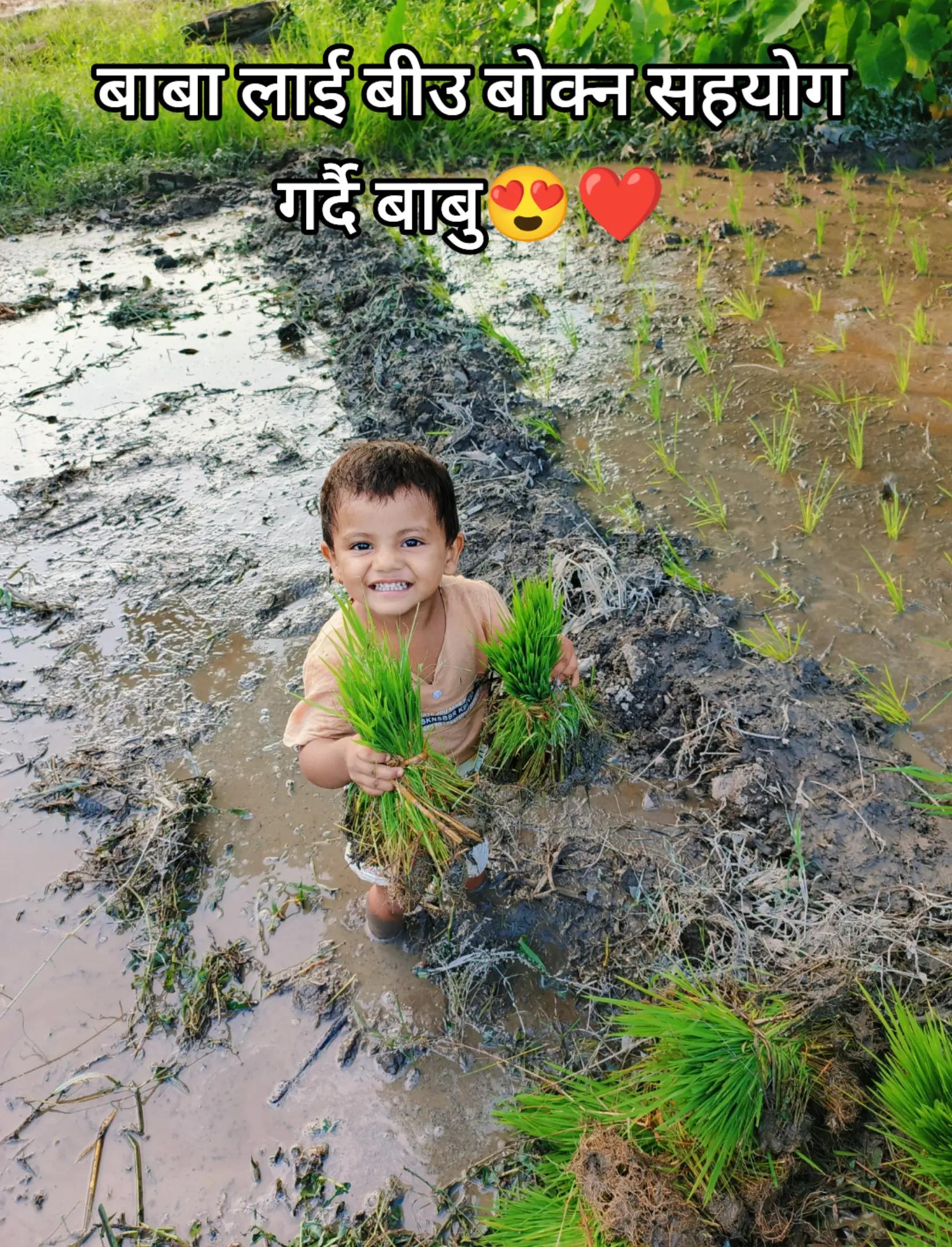 @Yuv raj 🇳🇵