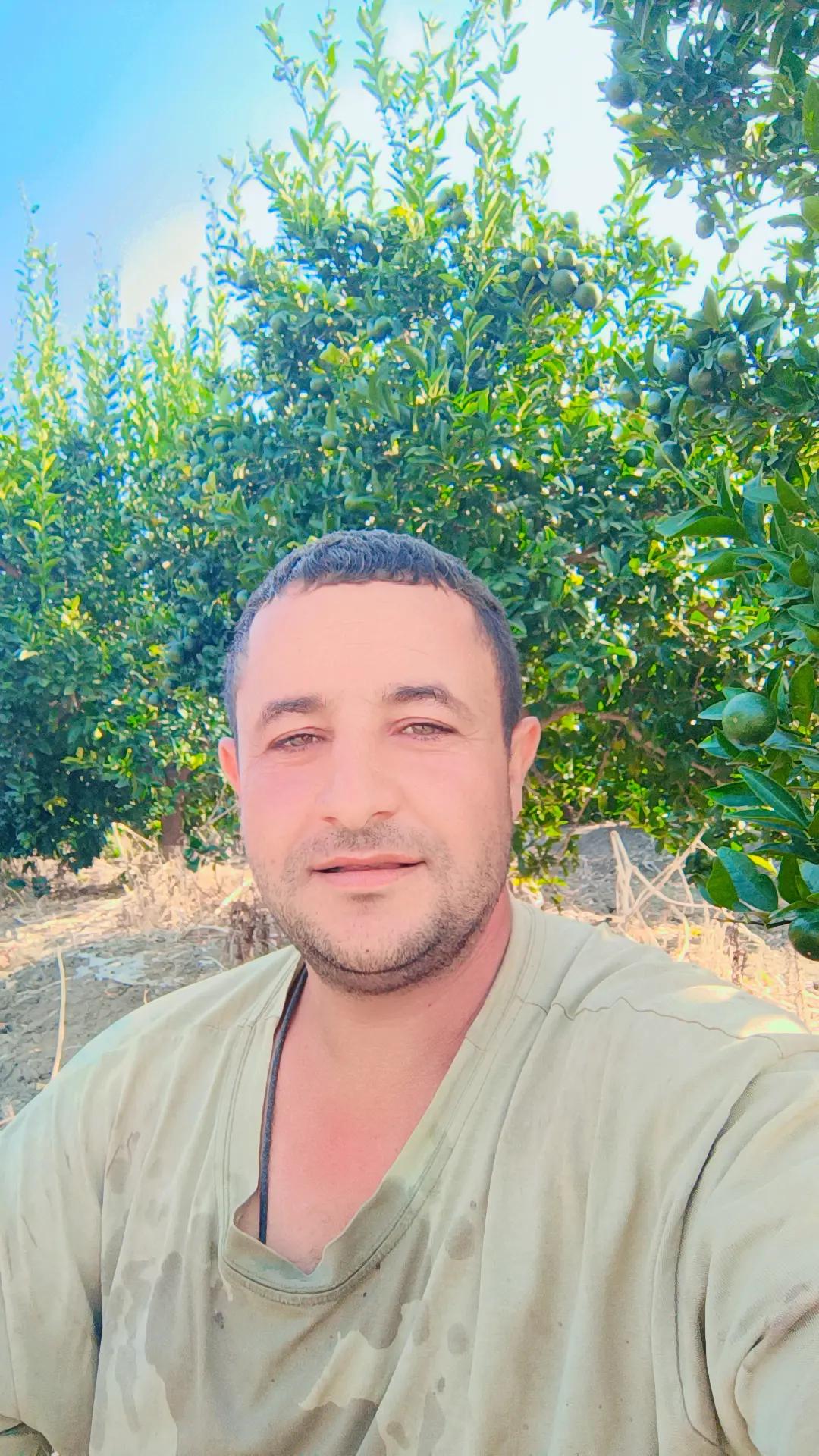 @umut yok2