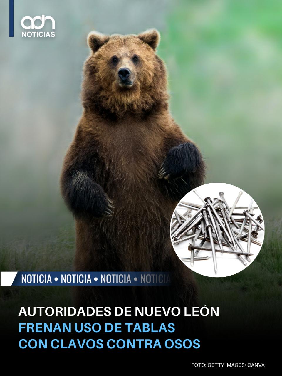 @adn Noticias