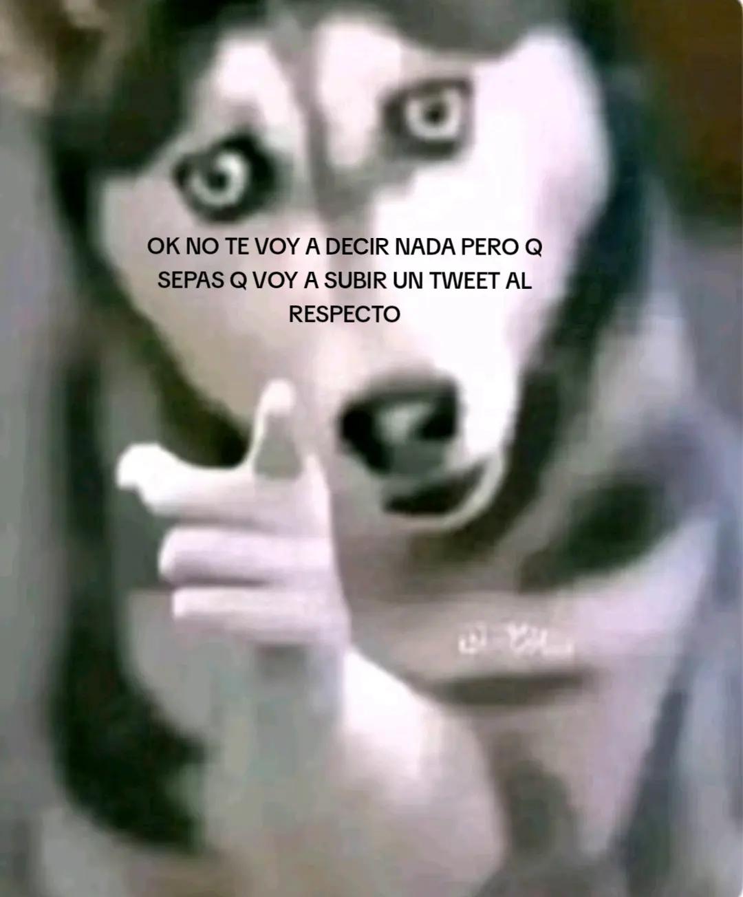 @Gabriela Arroyo