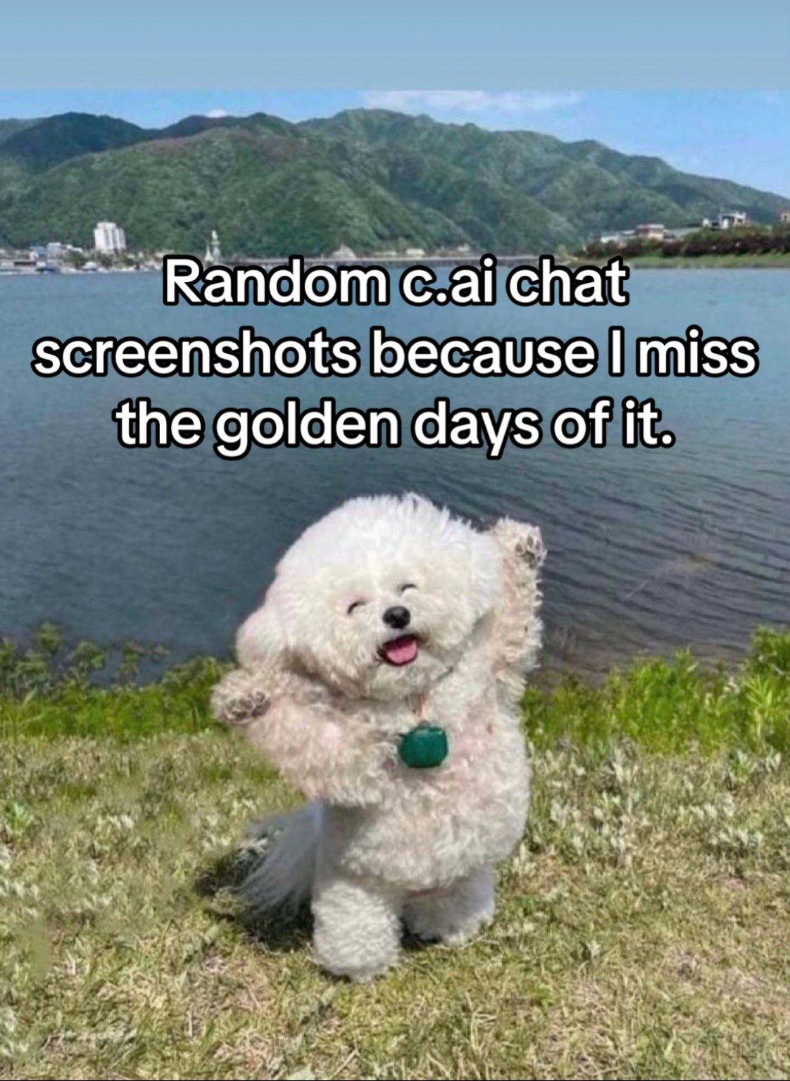 @damichann
