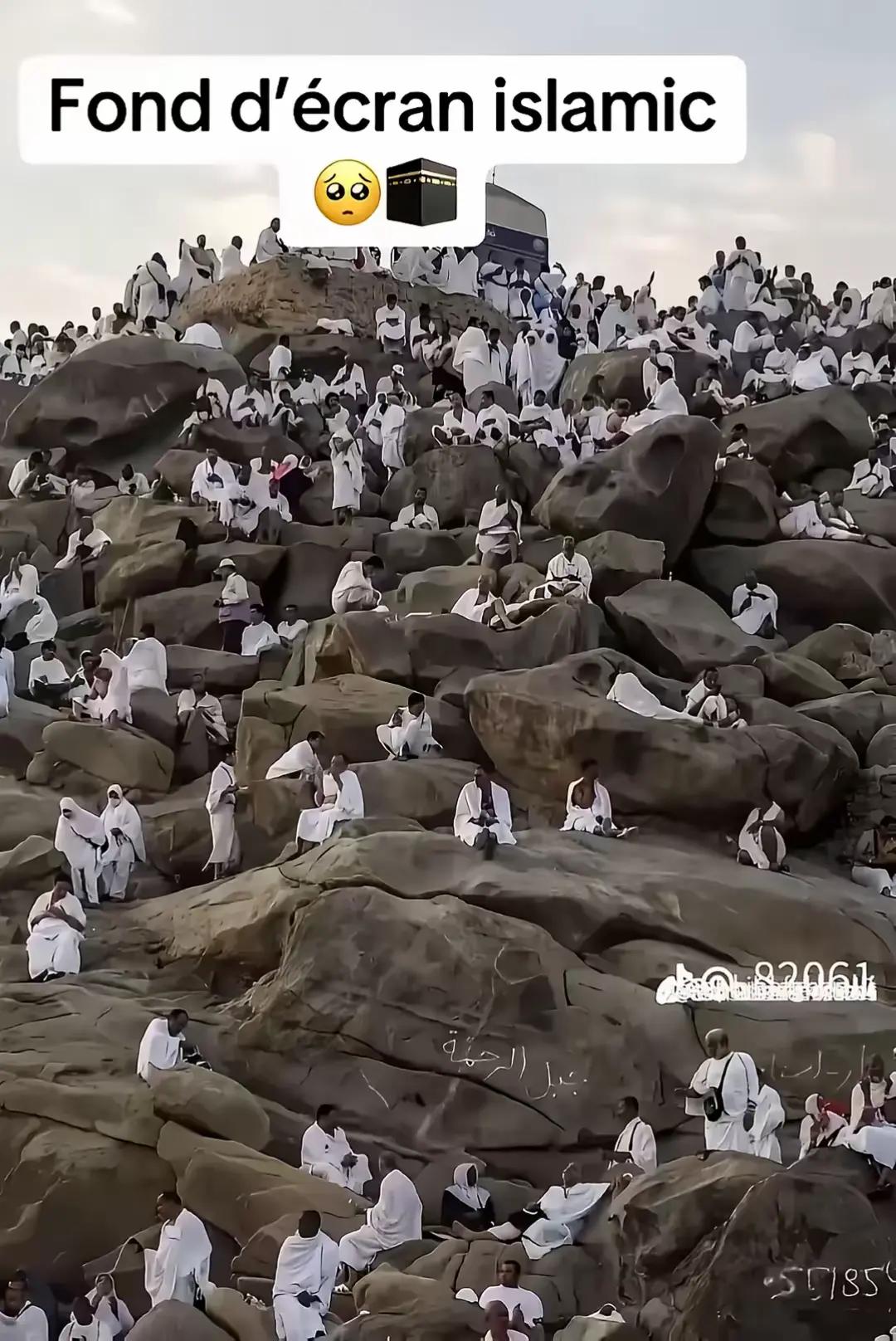 @عبدالرحمن ناصر
