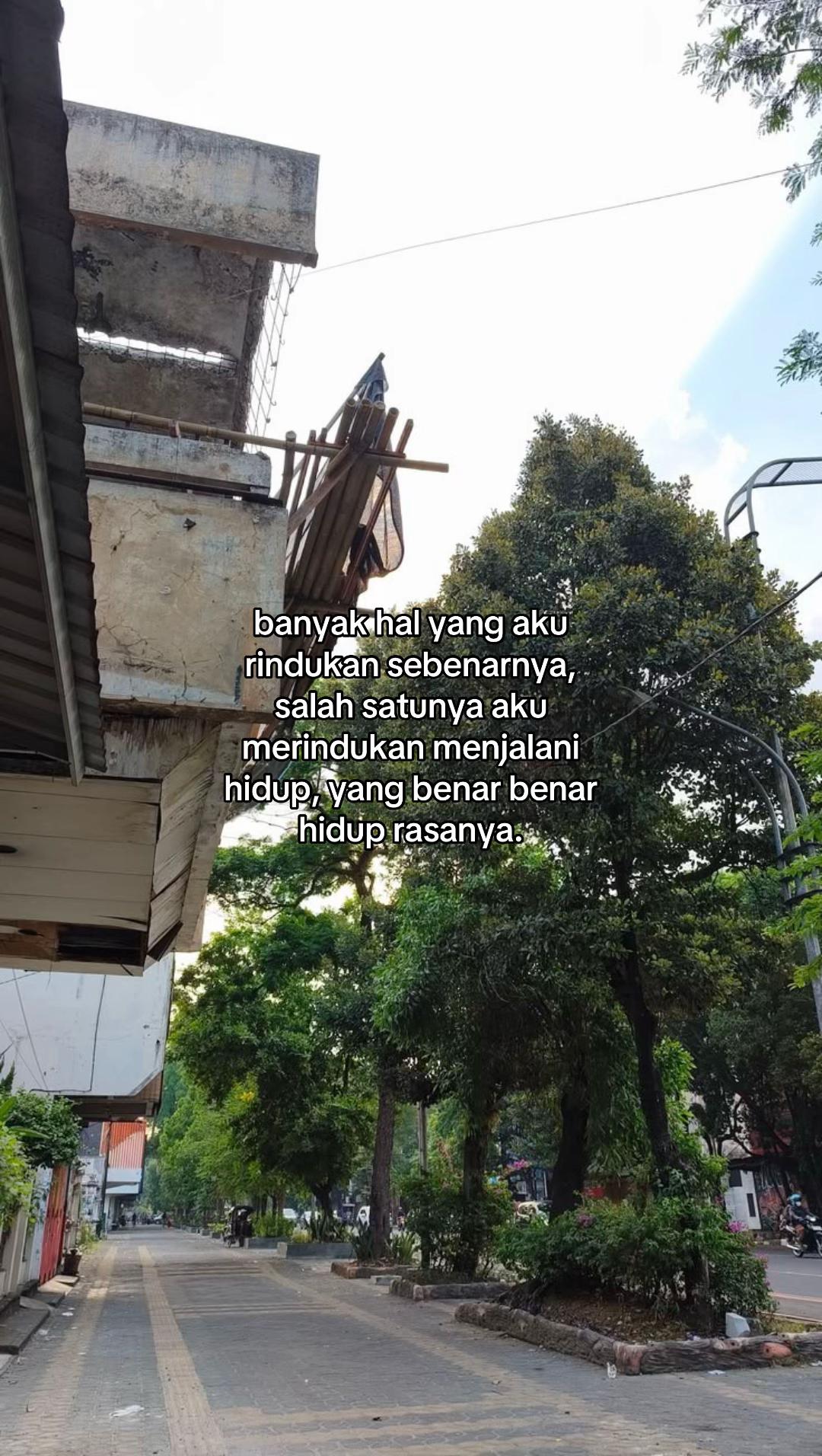 @ayippp