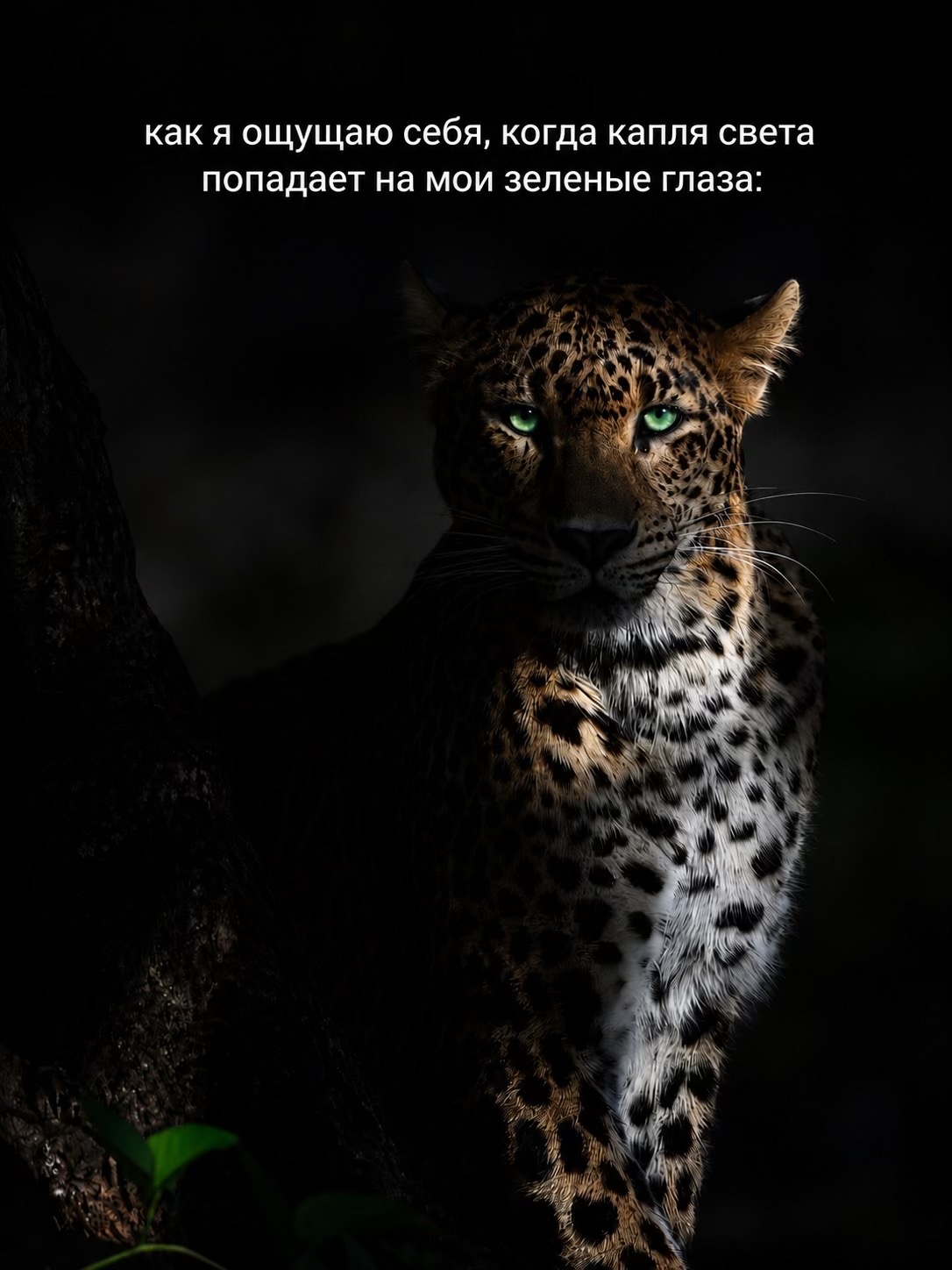 @Настюшка🎀