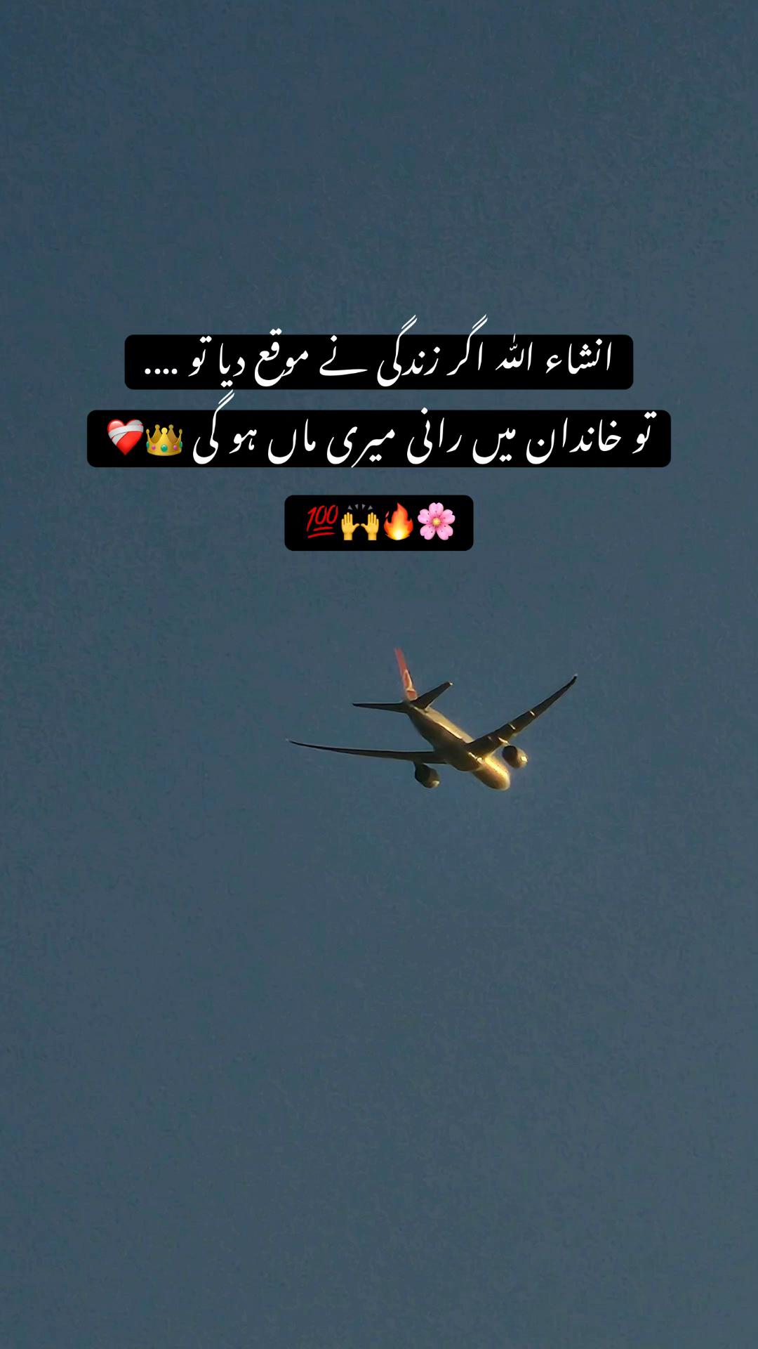 @❀࿐𝐏𝐮𝐫باش ♛