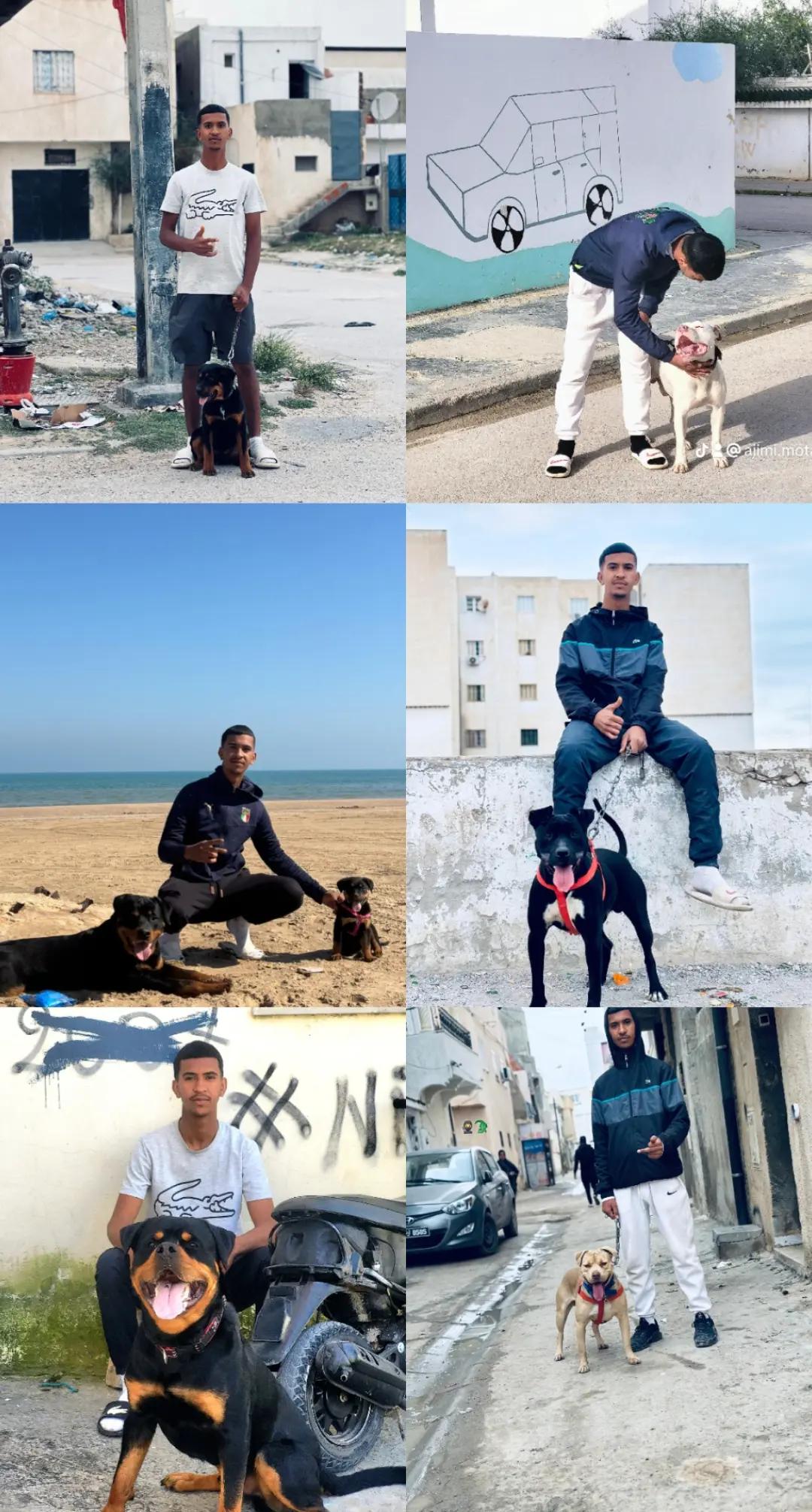 @ajimi tunisino 🥷🇹🇳
