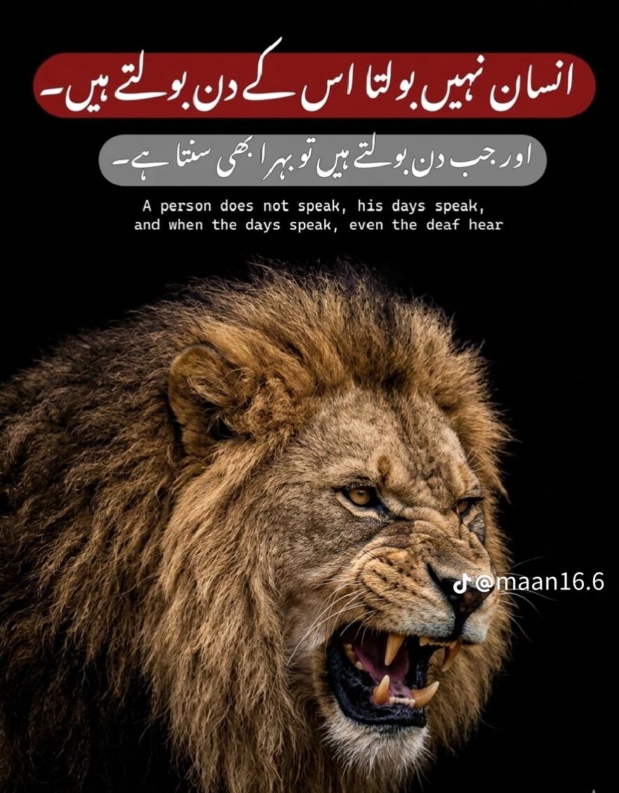 @👑 ناظم مغل واہنڈو آلہ 🔥