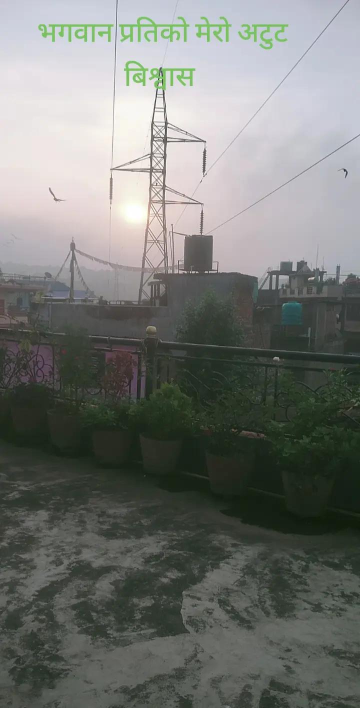 @बासु कोइराला (Basu Koirala)