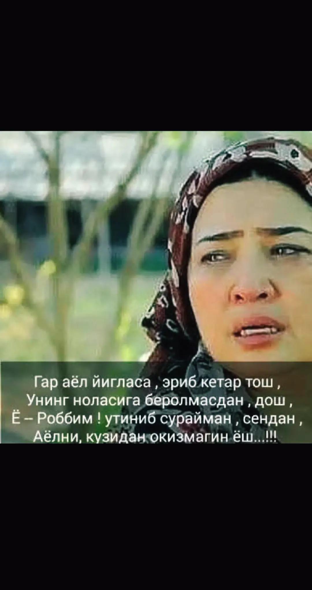 @ЗЕБО 24