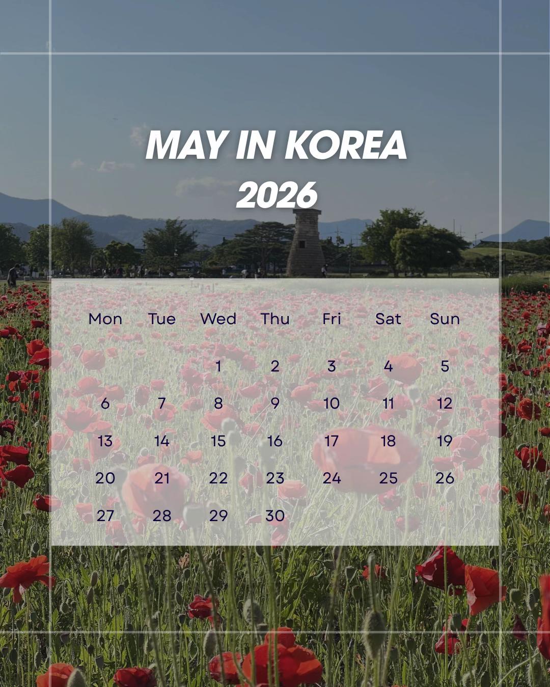 @Korea Insider