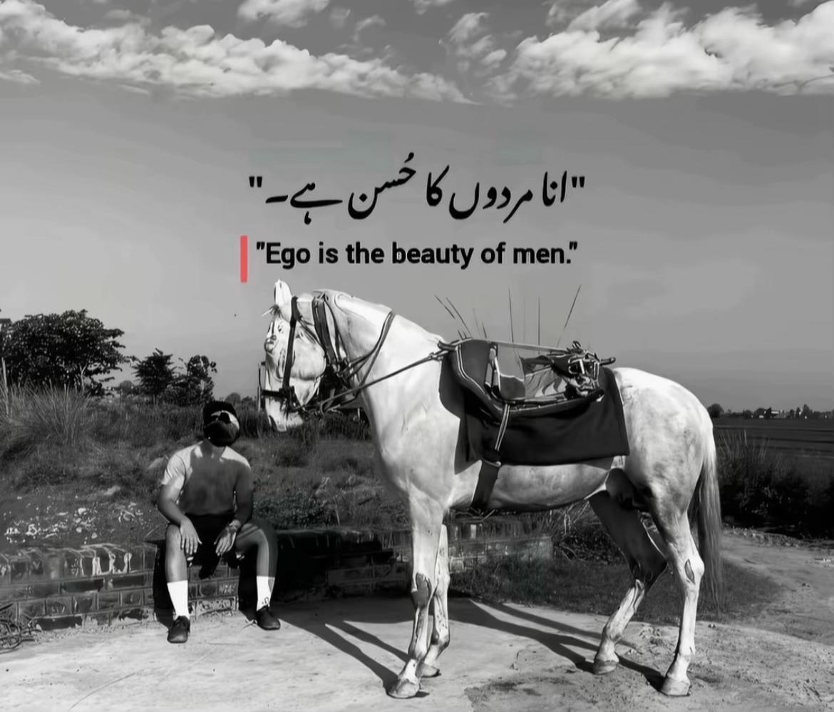 @حمزہ🫆☠️