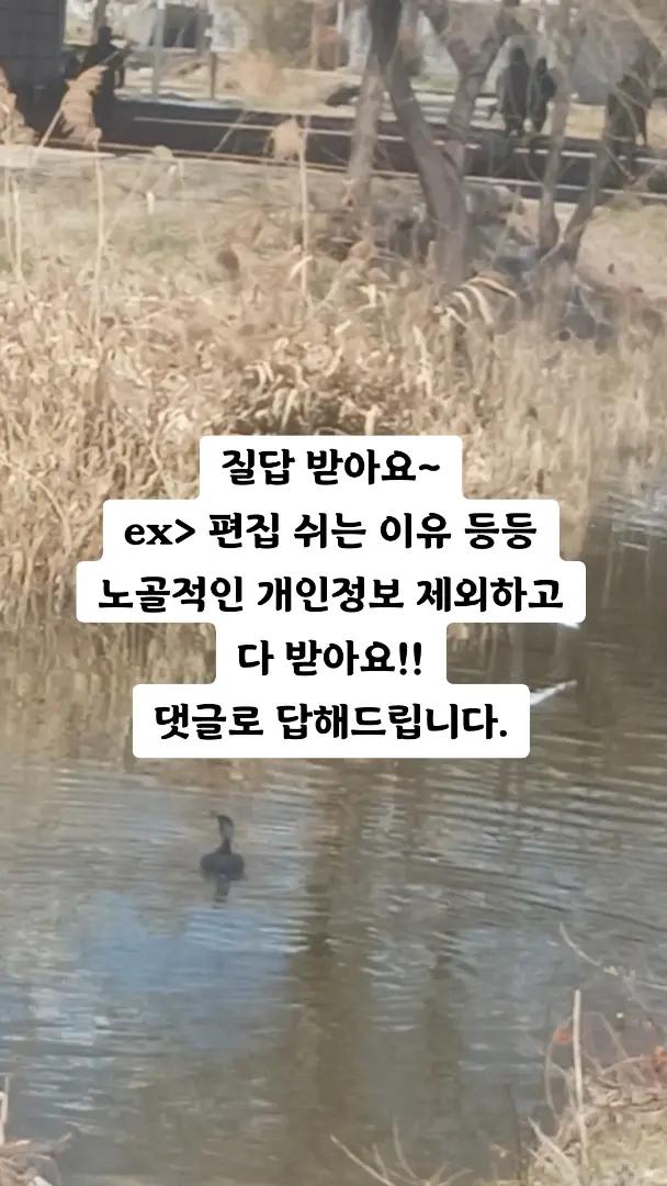 @나래 엘