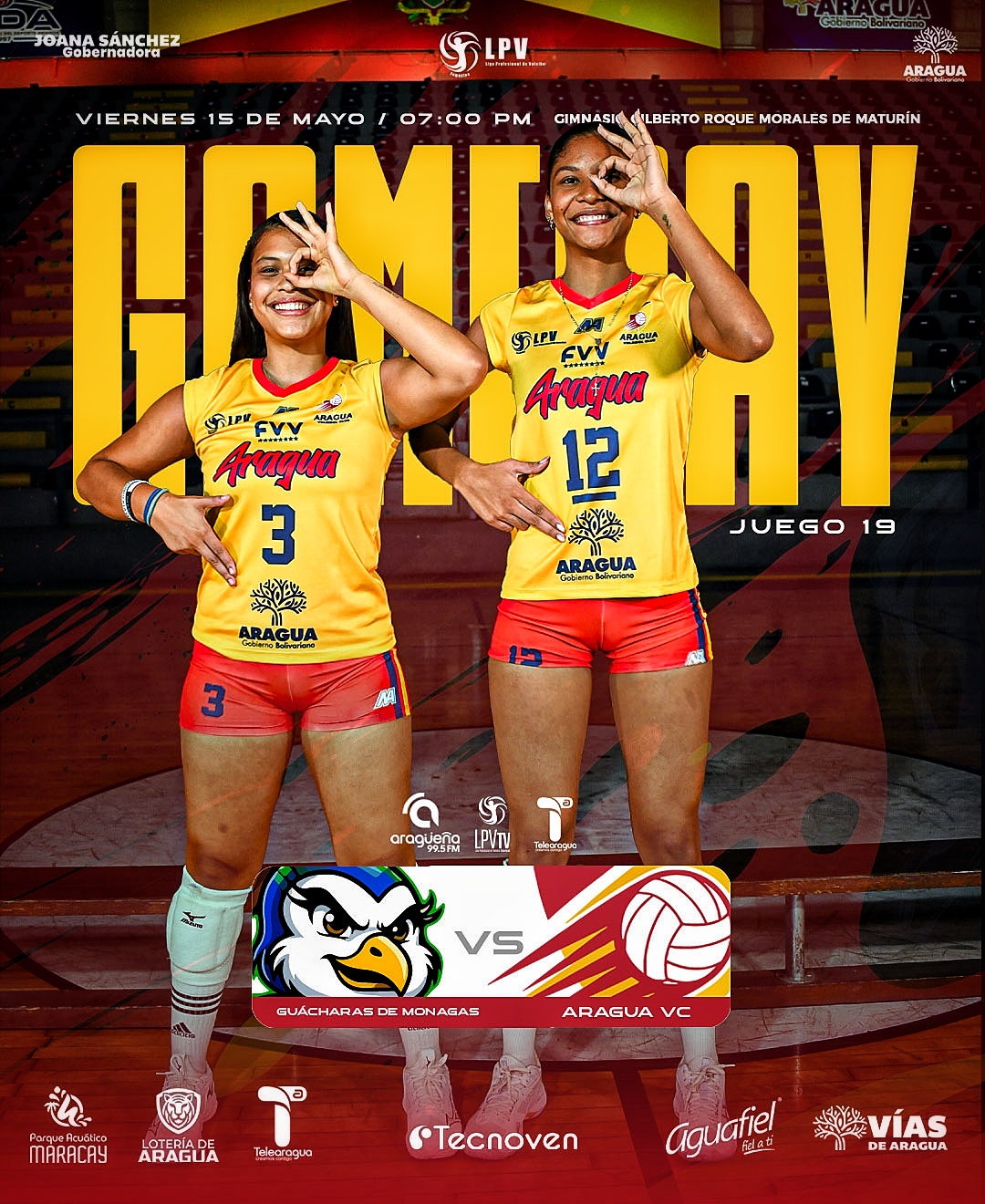 @Aragua Voleibol Club
