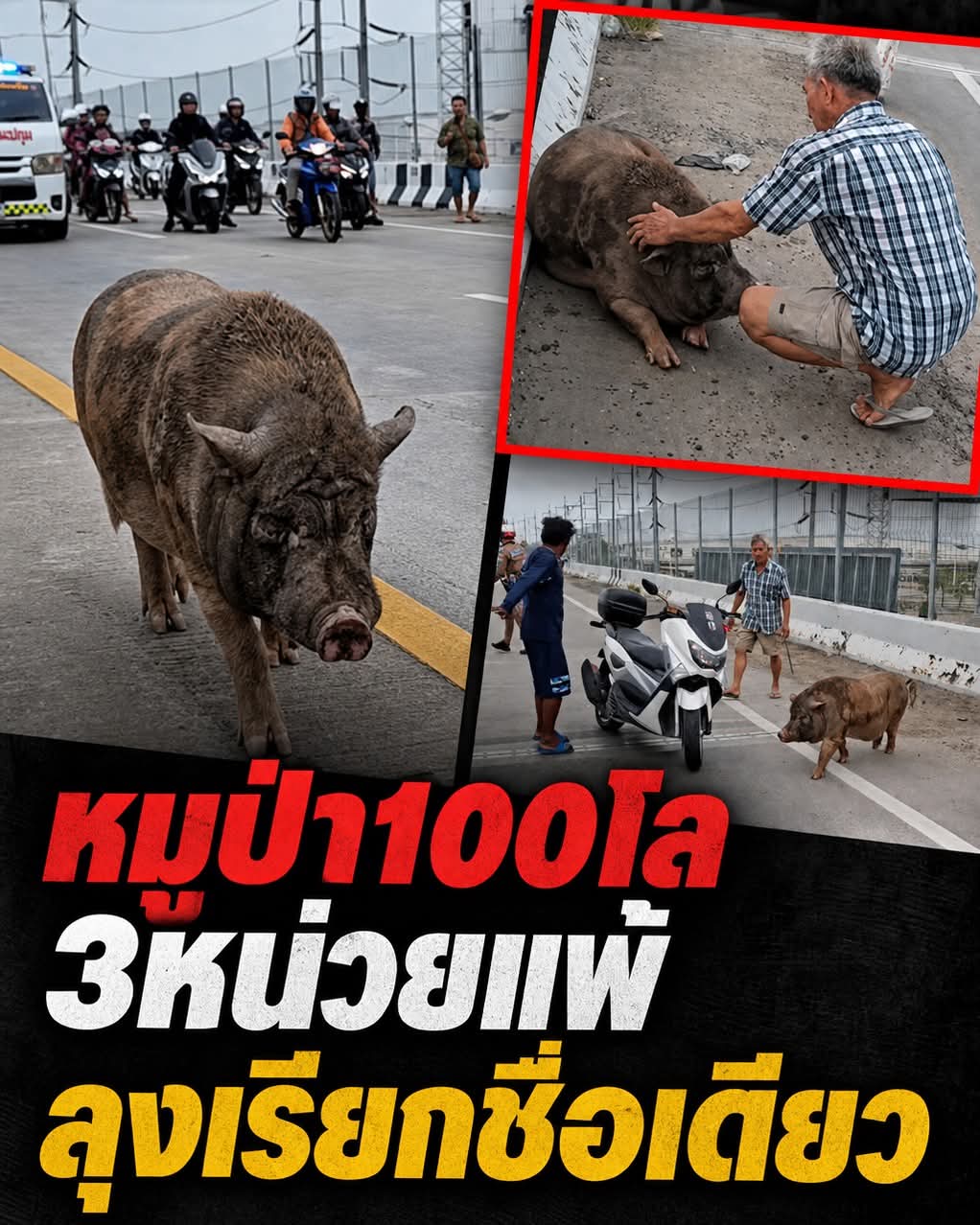 @Jack Bangsue