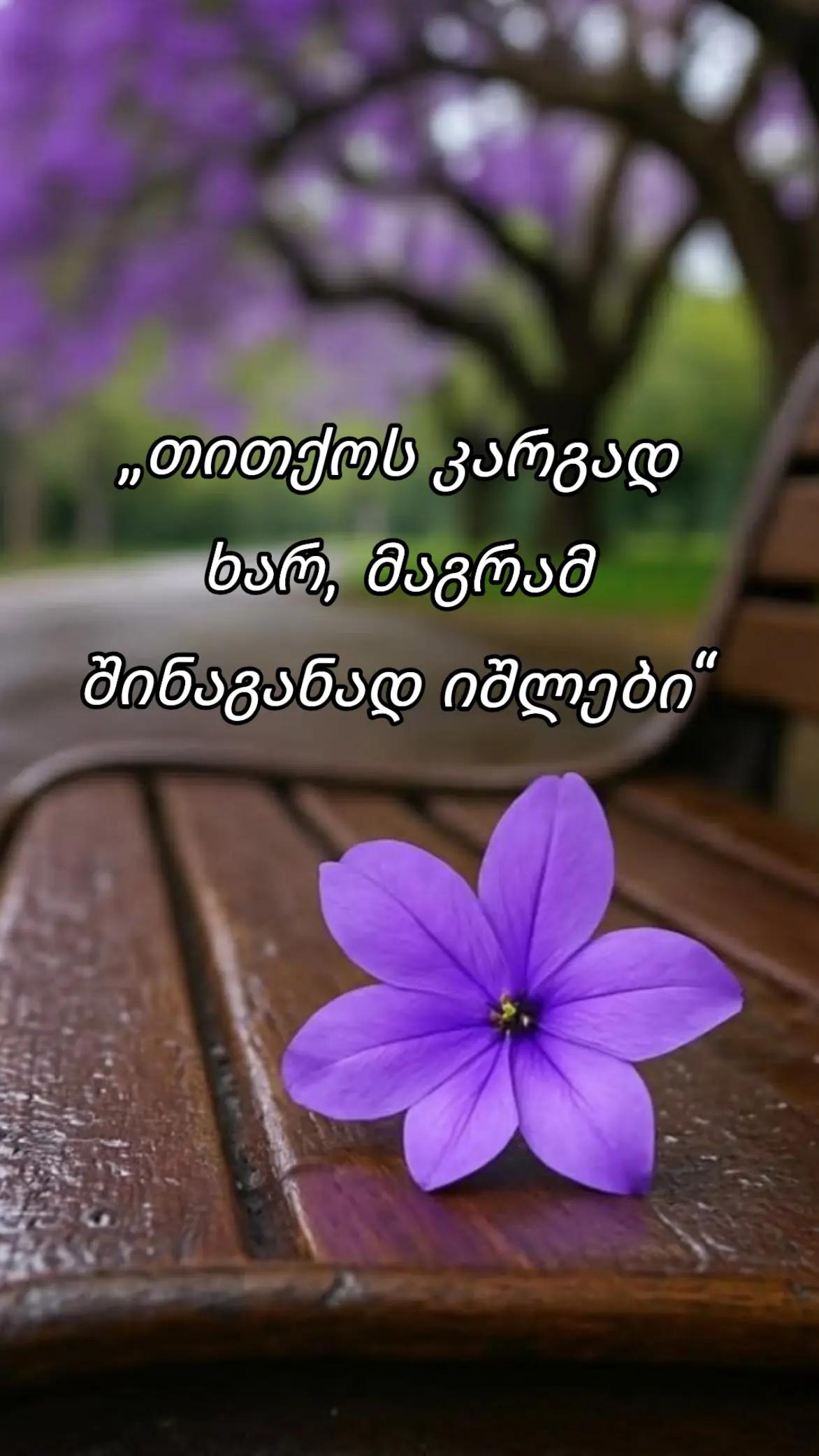 @TEKO๐ฆ๐ค