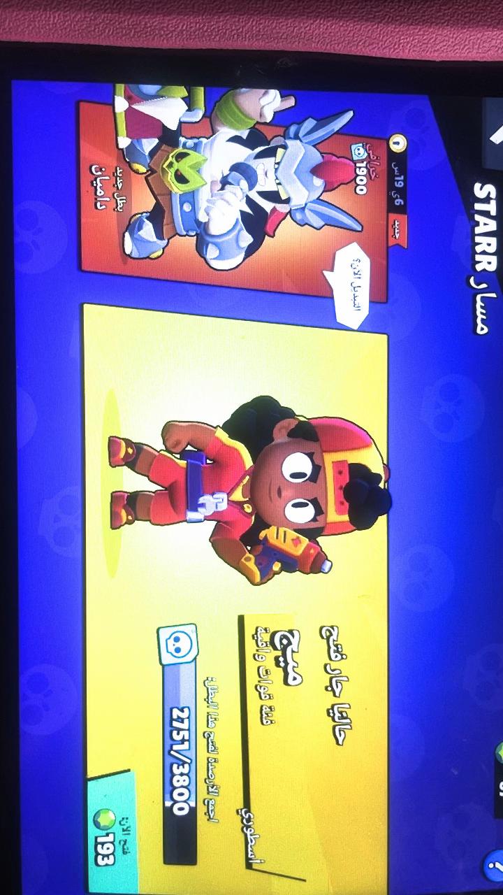 @Rafef