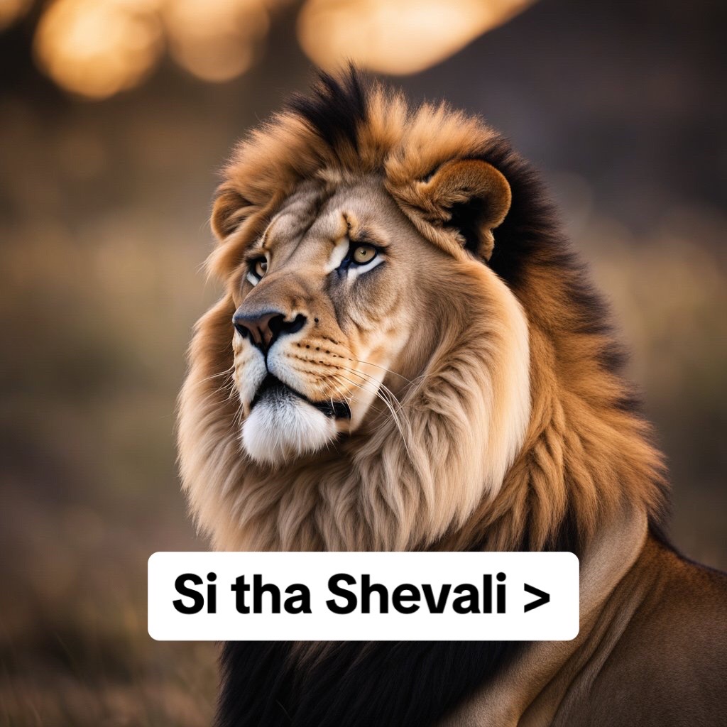 @Sheval 007๐บ๐ธ
