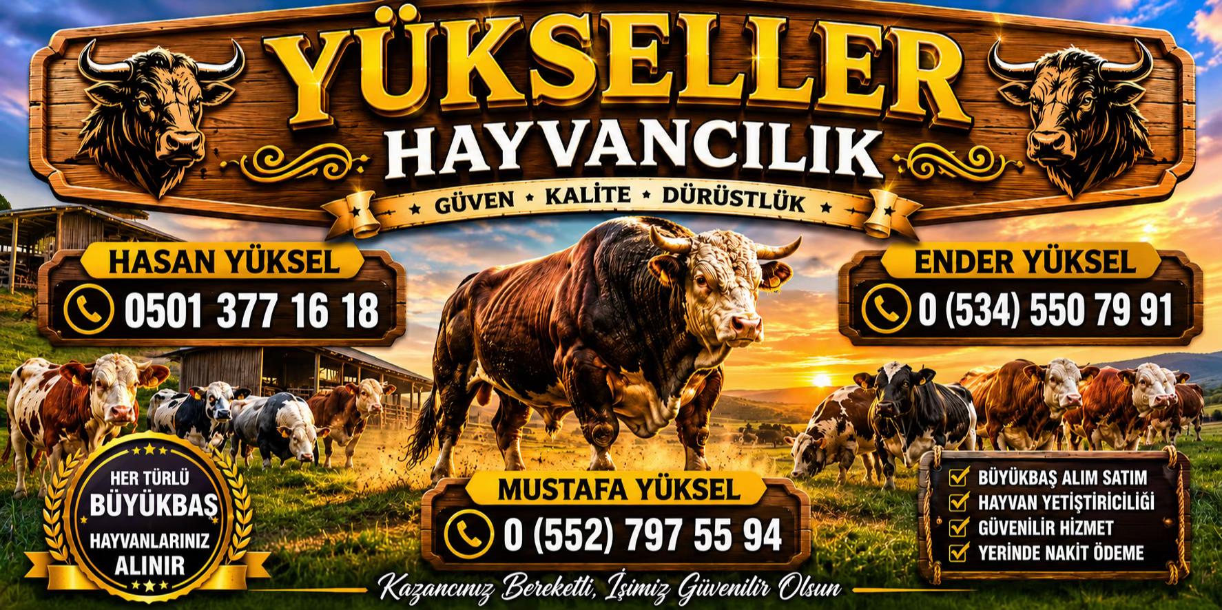 @Ender_yksl0