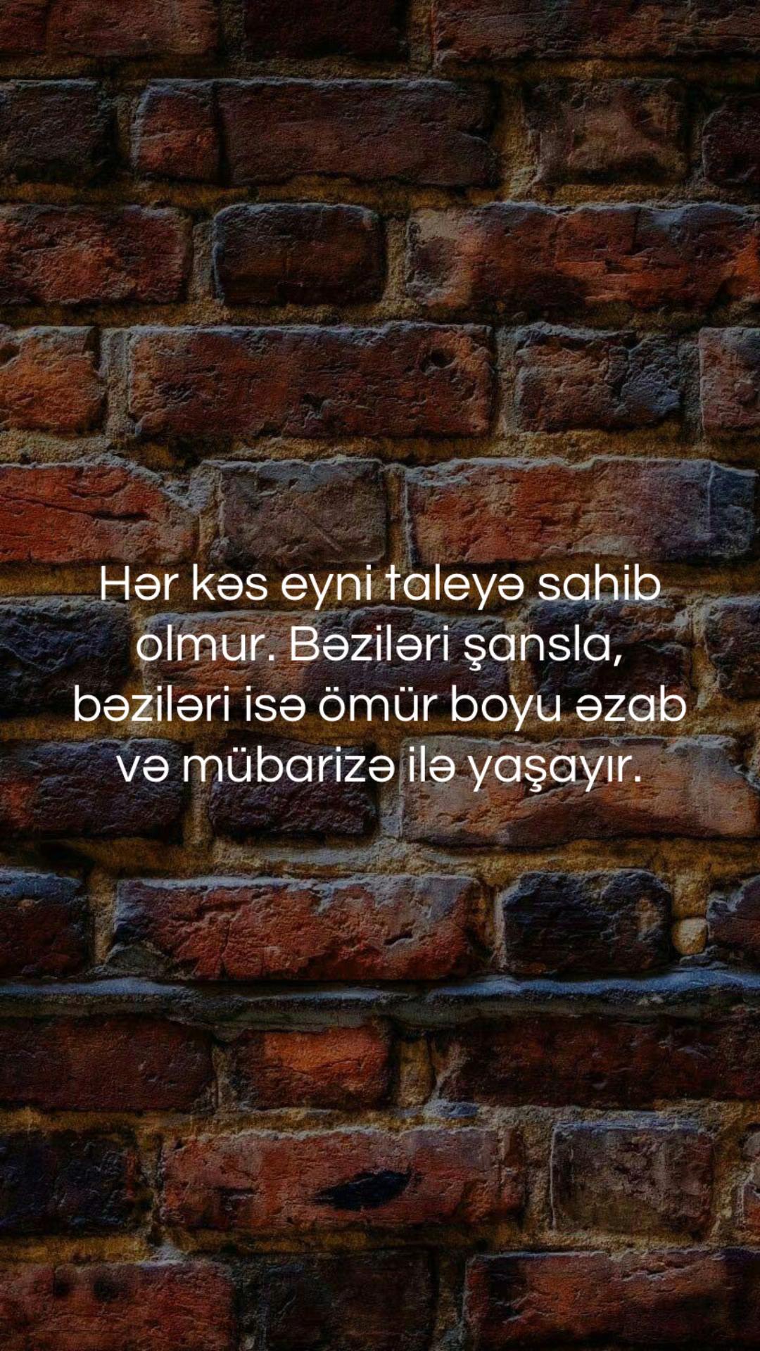 @musiqi_qidasi