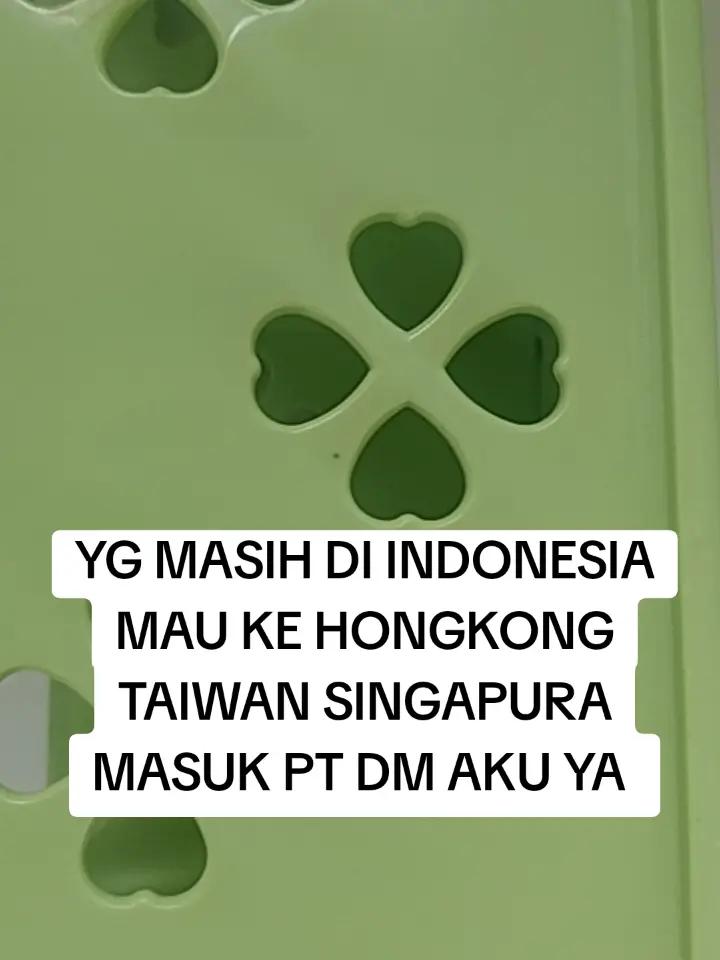 @joelia