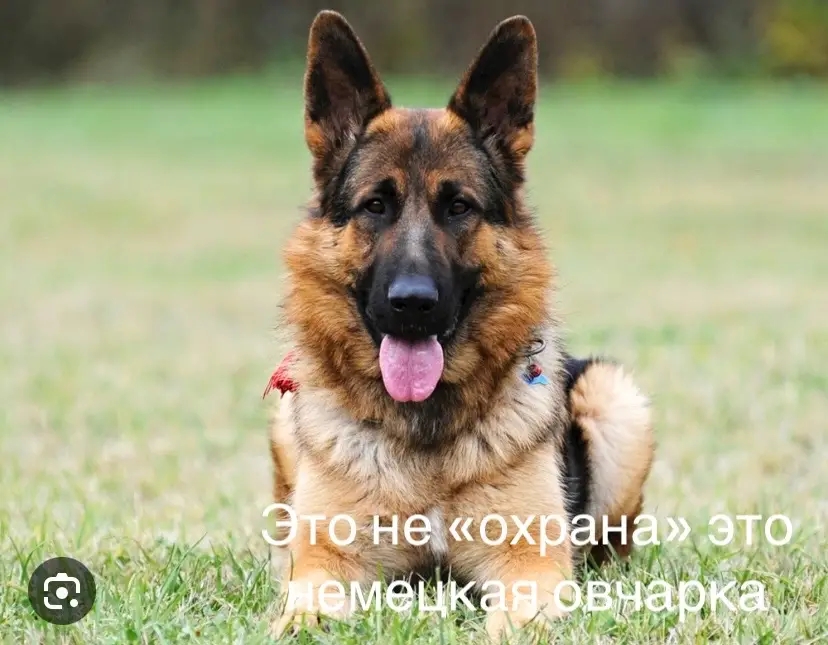 @&bull; Веста из теста &bull;