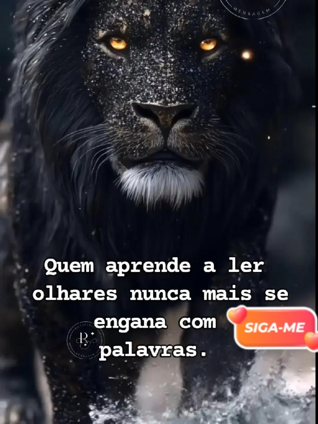 @lobode2cabeca